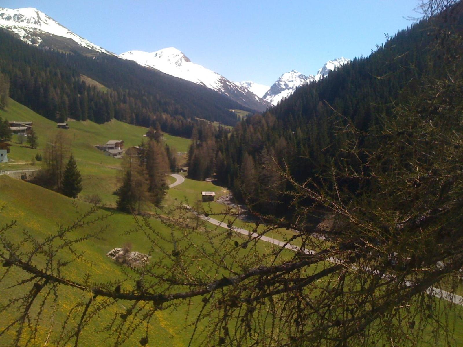 Photo 19