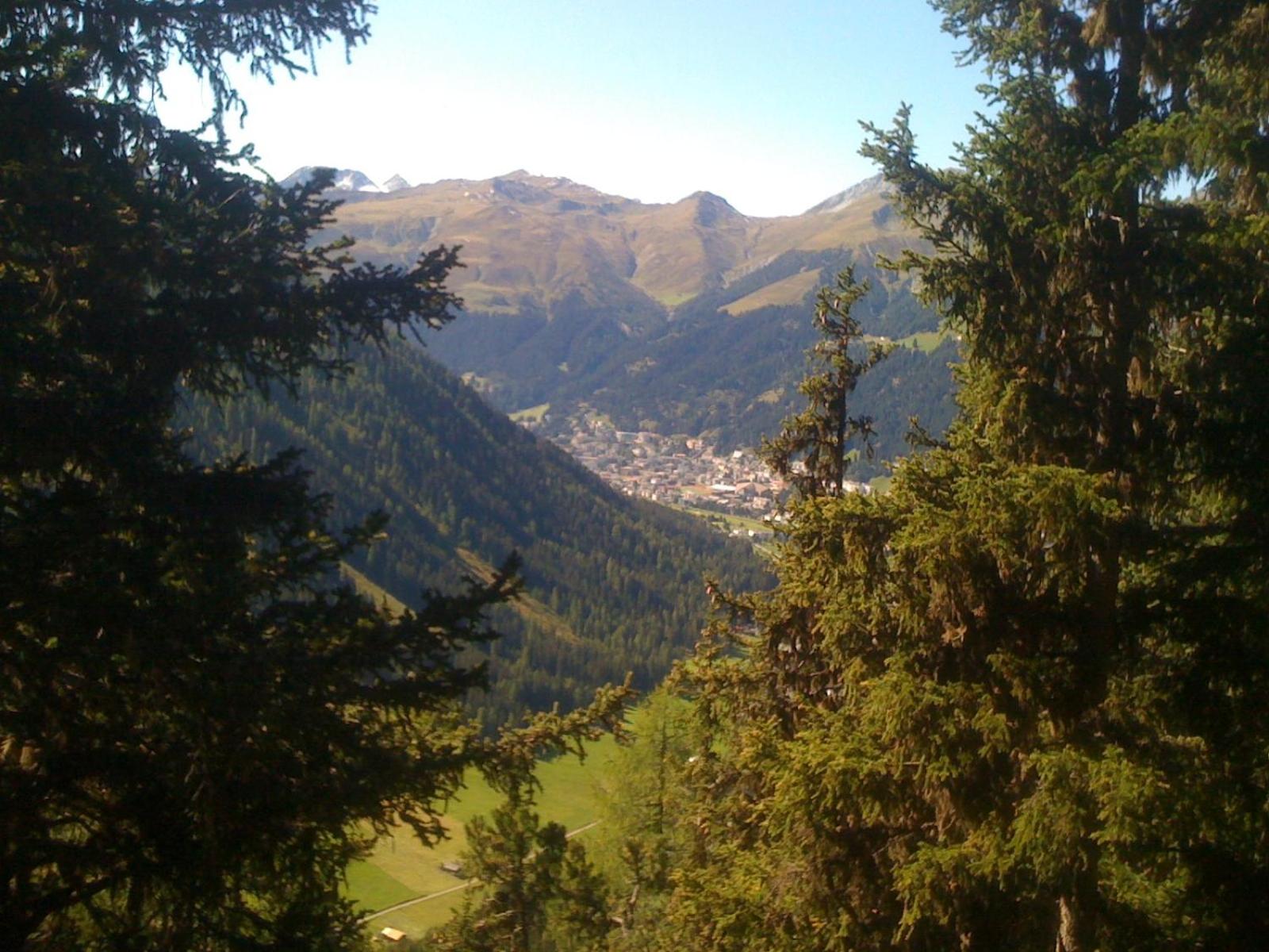 Photo 20