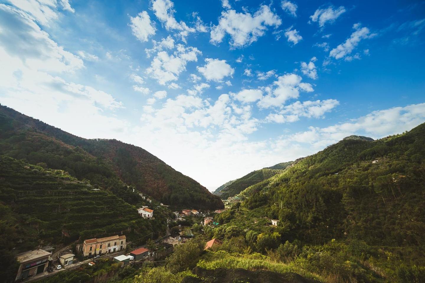 B&B Bouganville photo 3