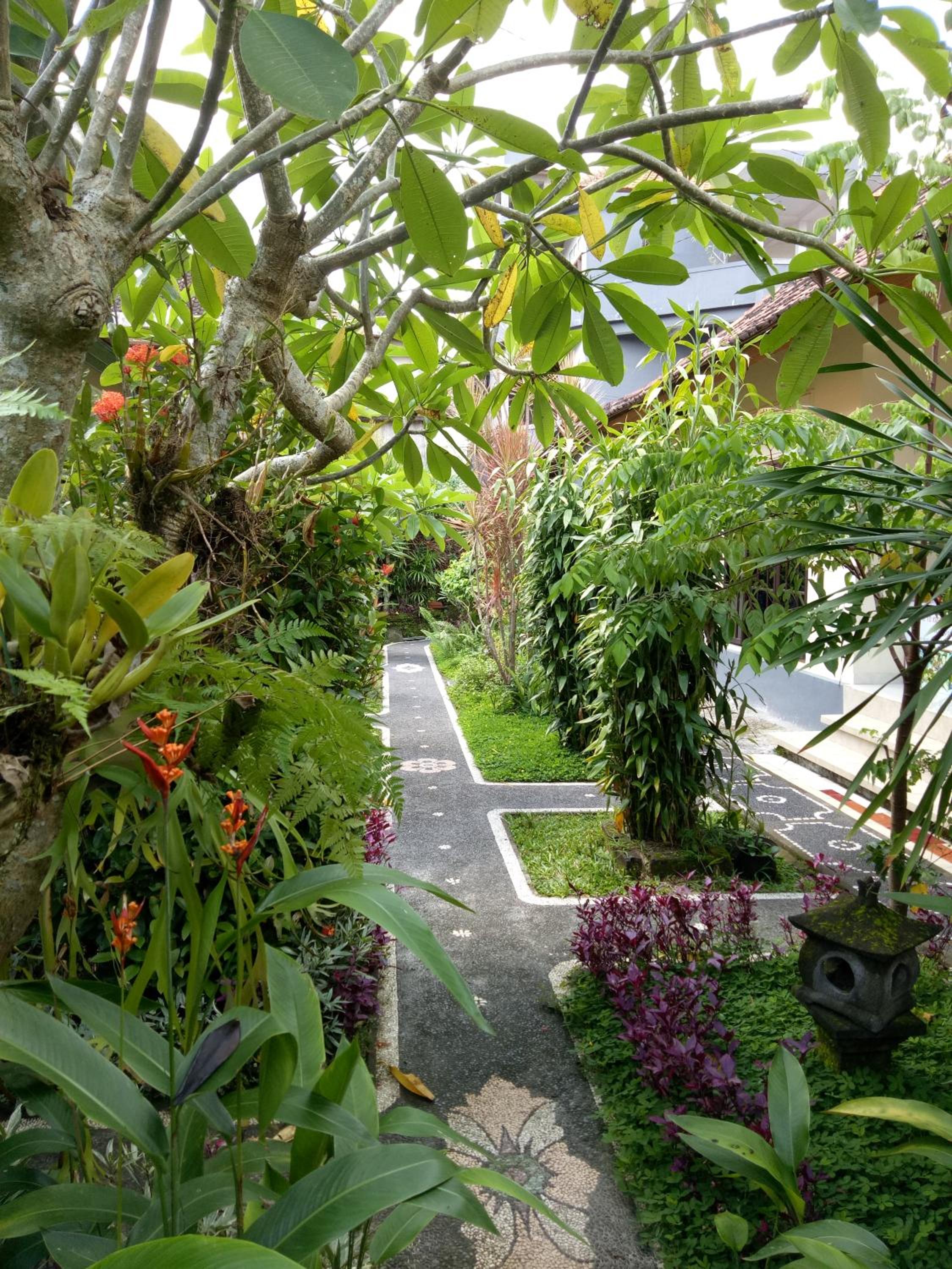 Krisda Ubud Guest House view 2