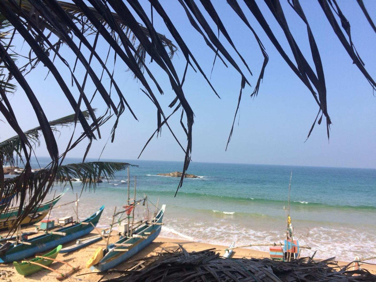 Villa crocodile beach