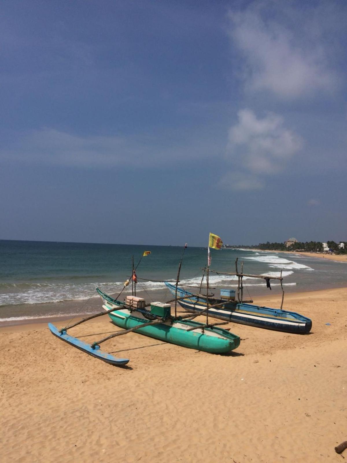 Villa crocodile beach