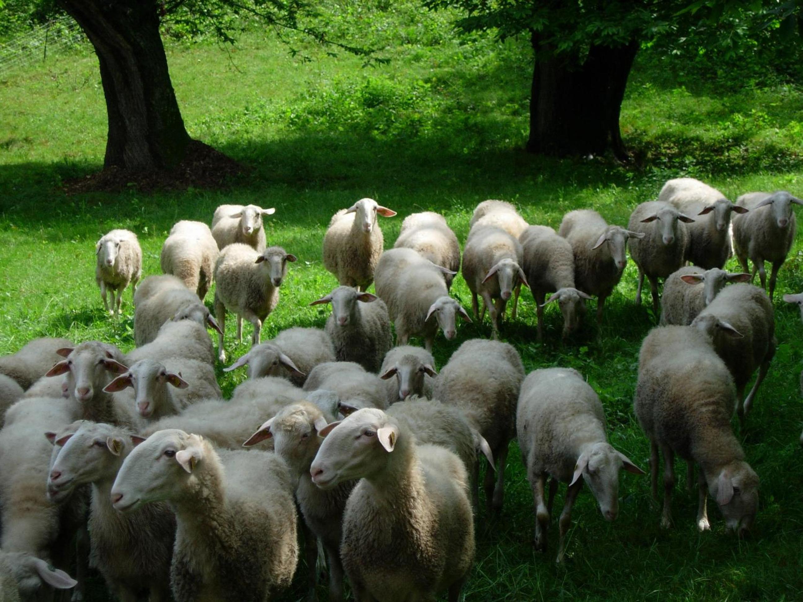 Cascina Veja