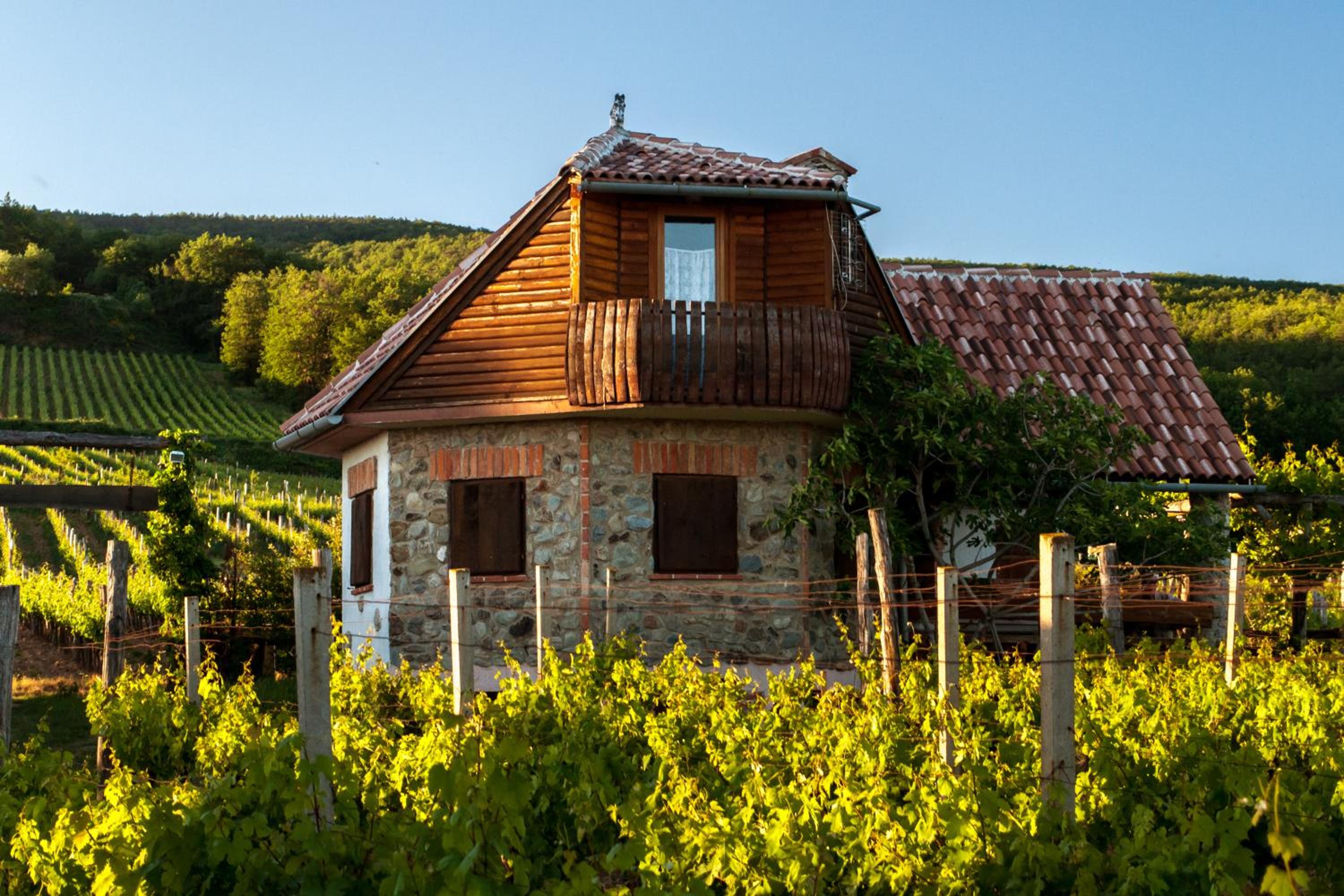 Robinson Vila Kitokret view 5