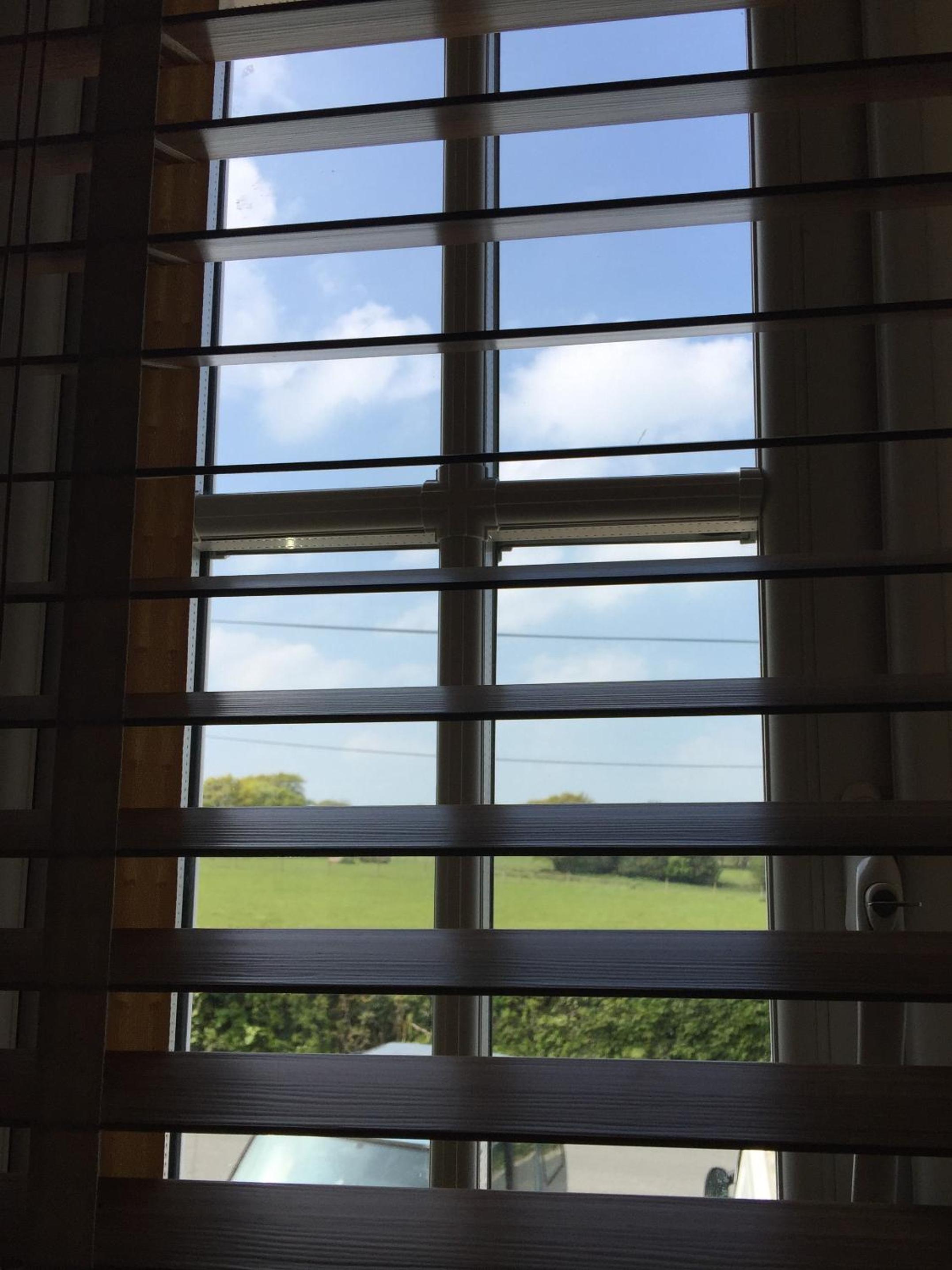 Black Swan Inn view 5