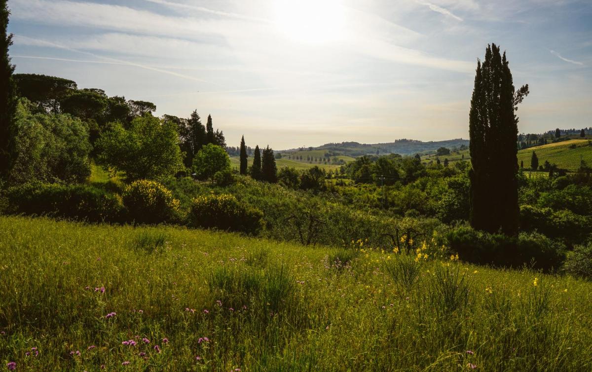 Villa Somelli