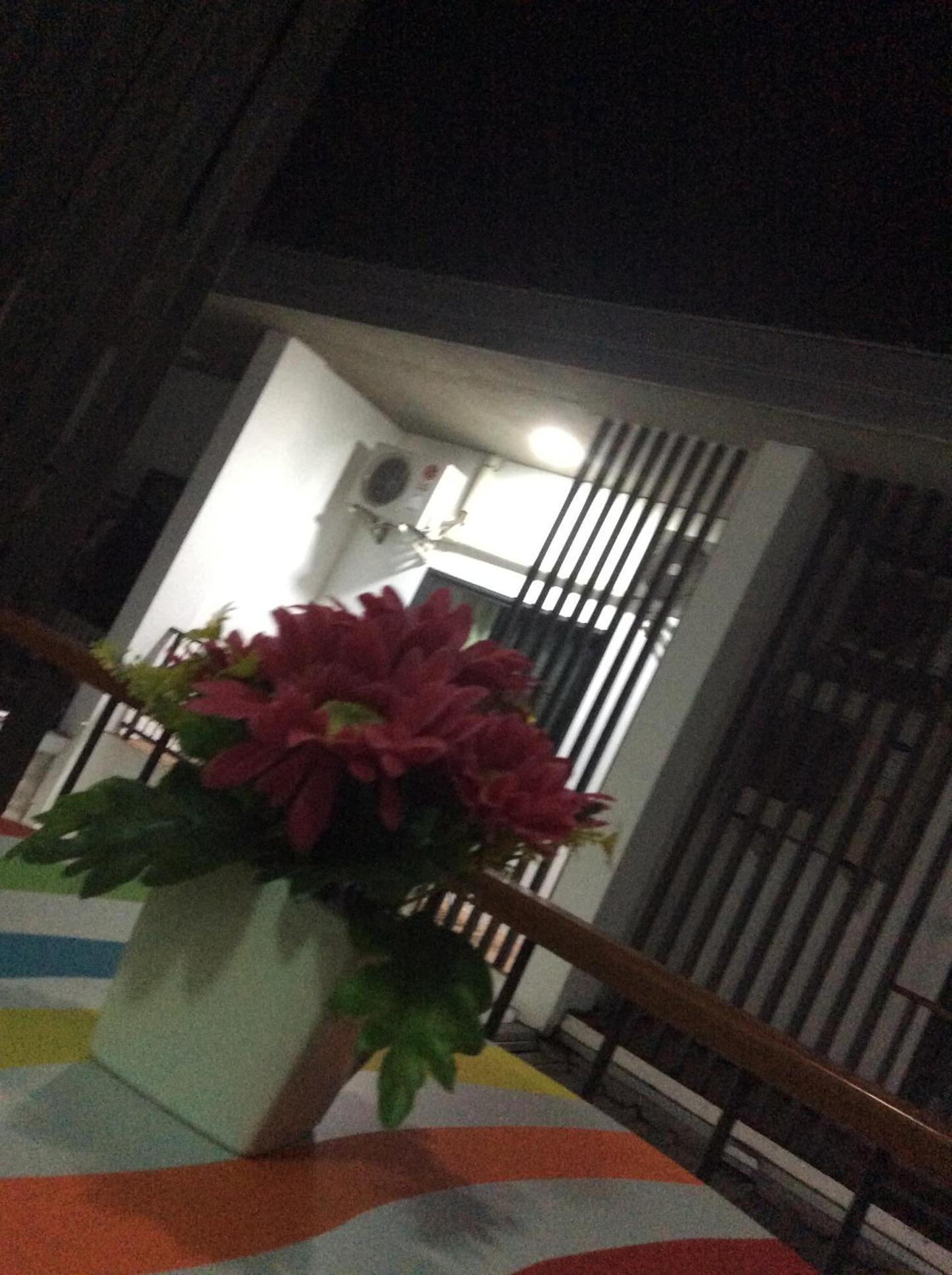 Amaretto Hostel