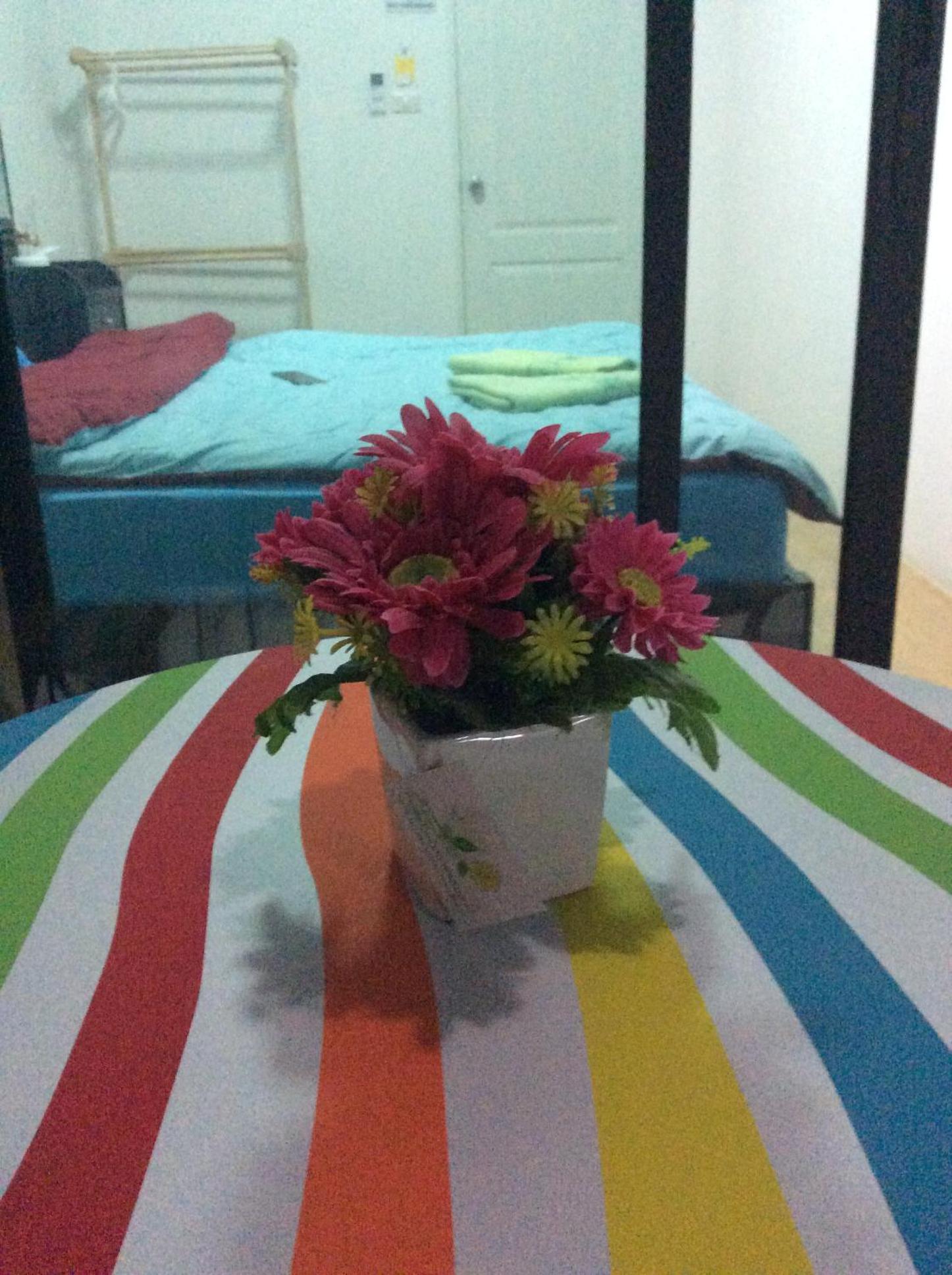 Amaretto Hostel