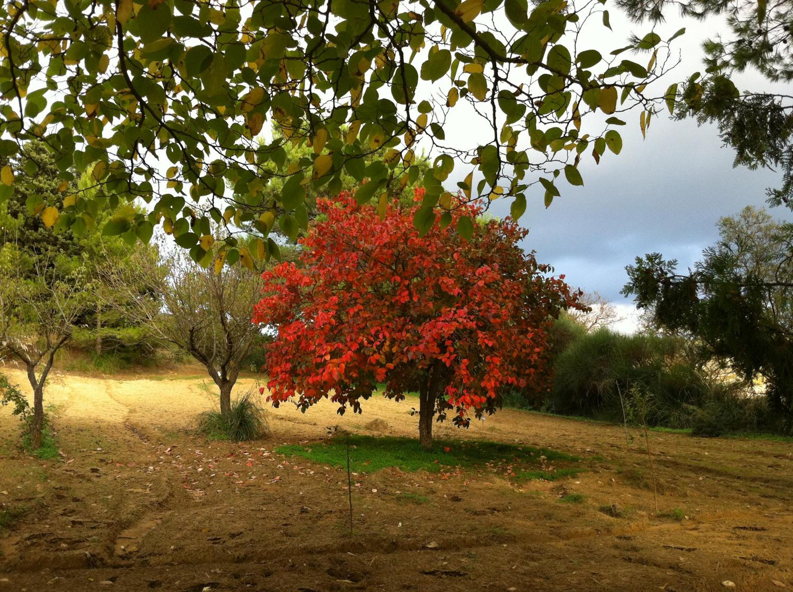 Photo 27