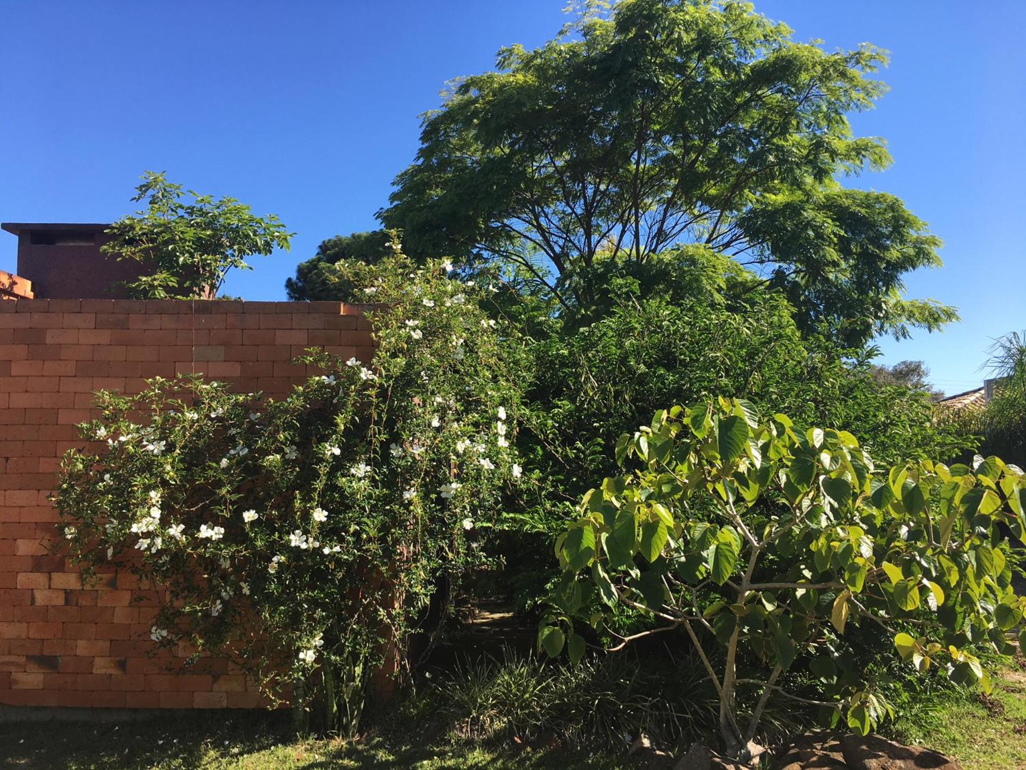 Quinta do Moçambique