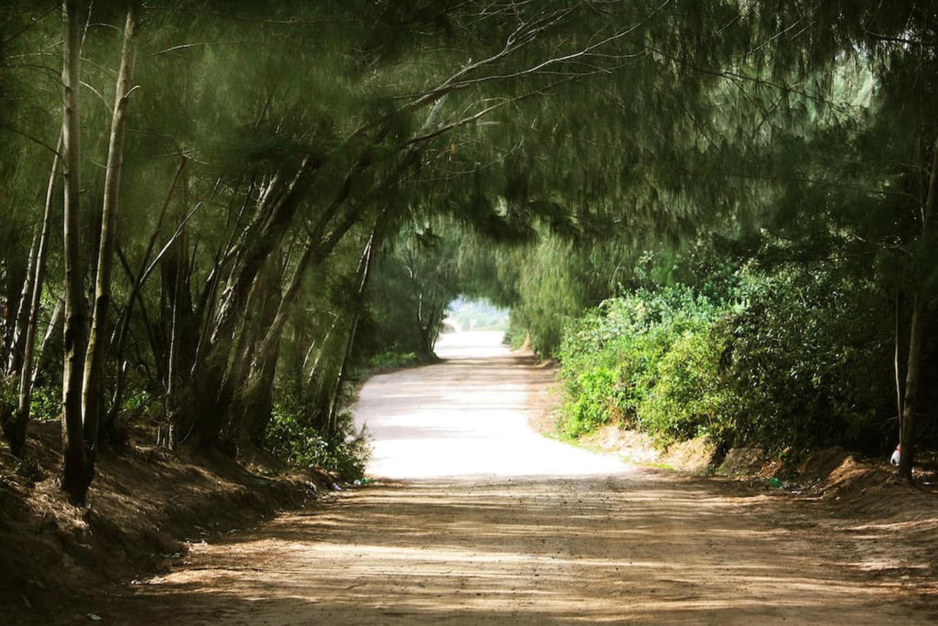 Quinta do Moçambique