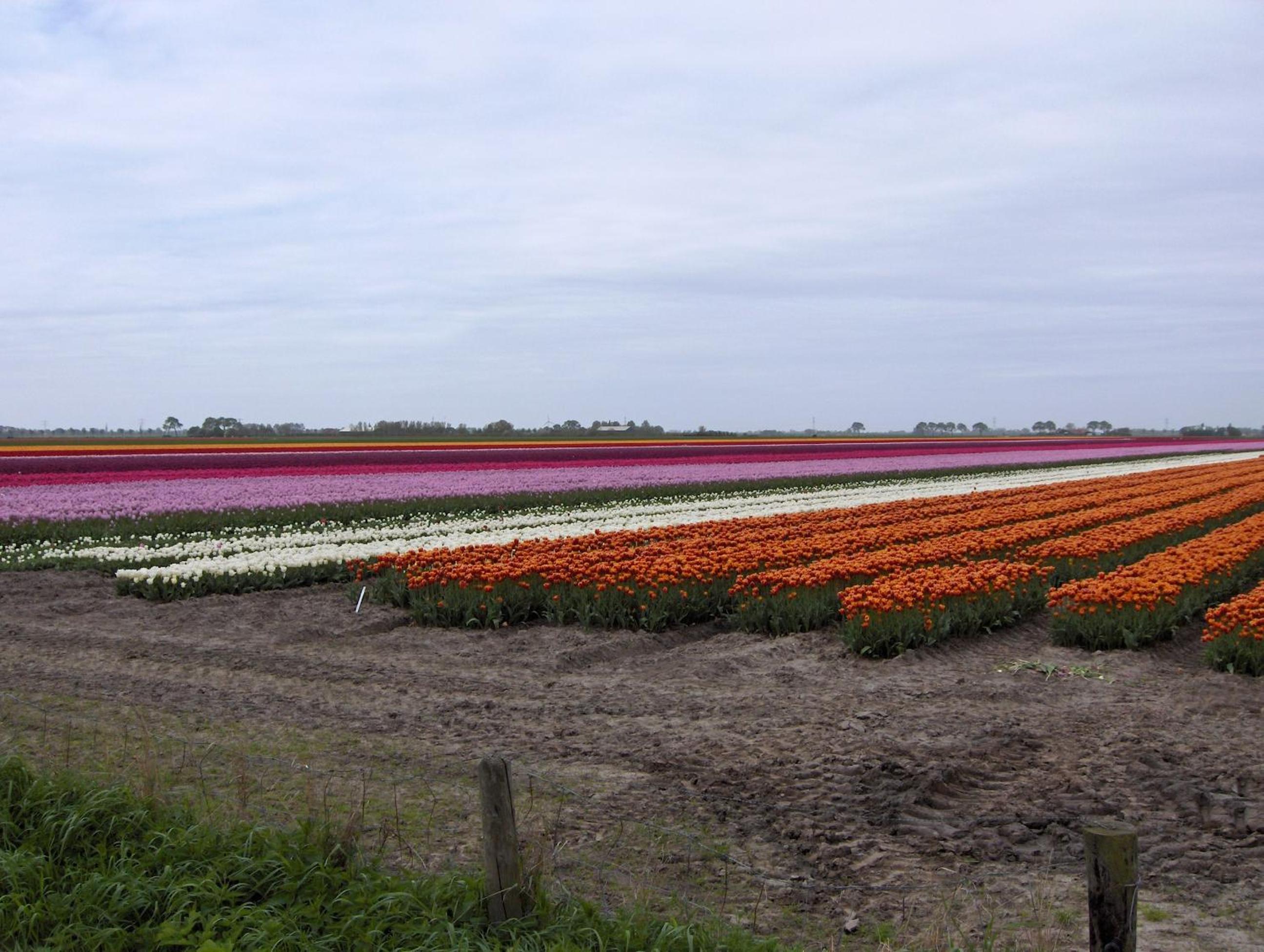 Het Burgemeestershuis view 5