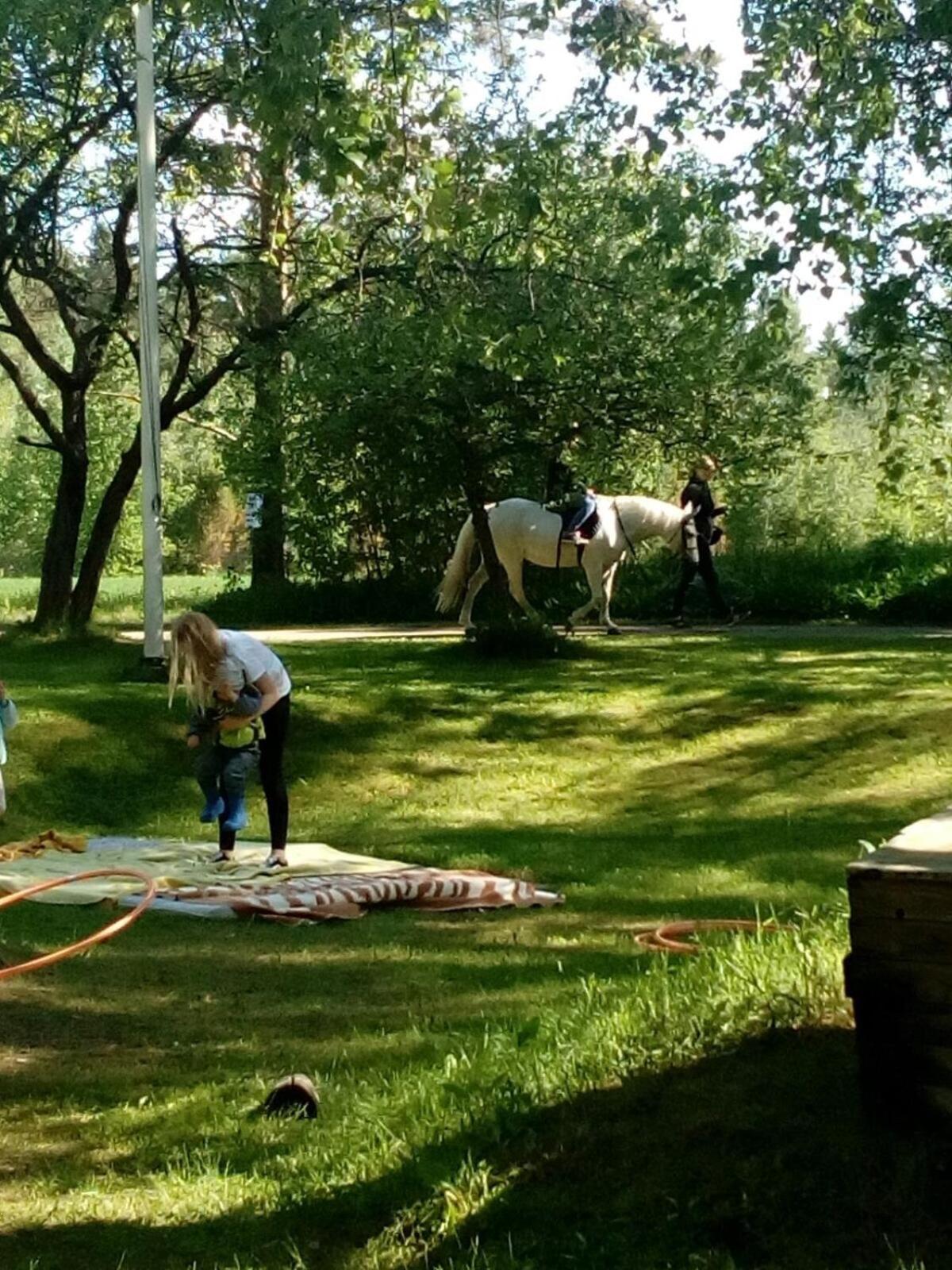 Photo 40