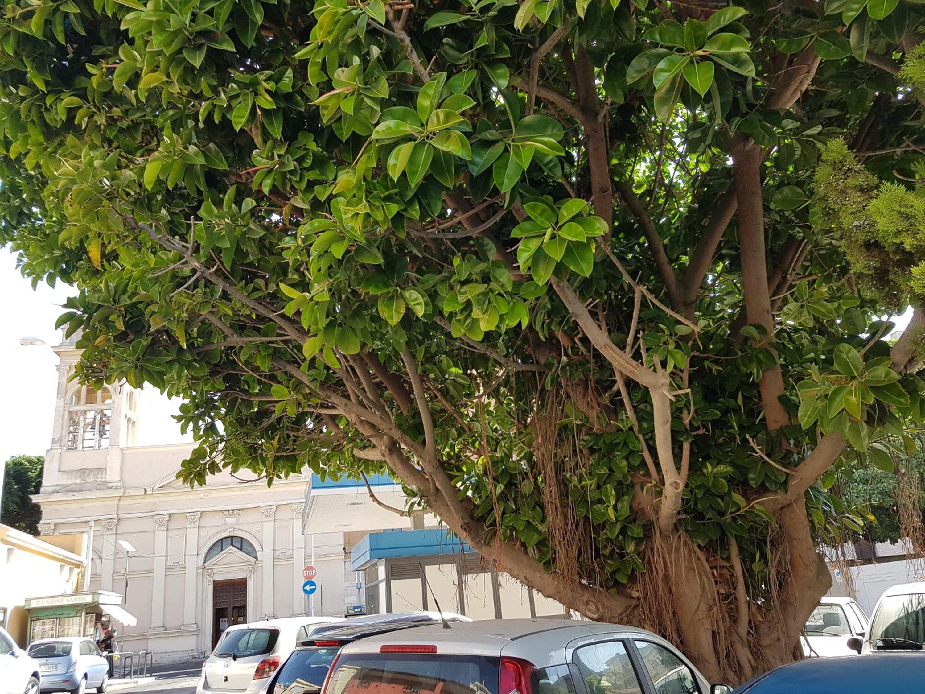 Da Agnese Locazioni brevi