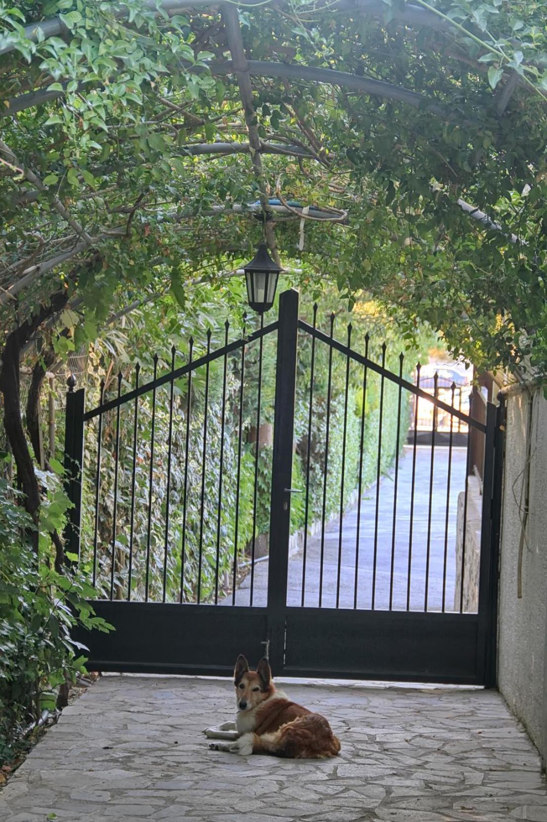 Villa Kazantzakis view 4