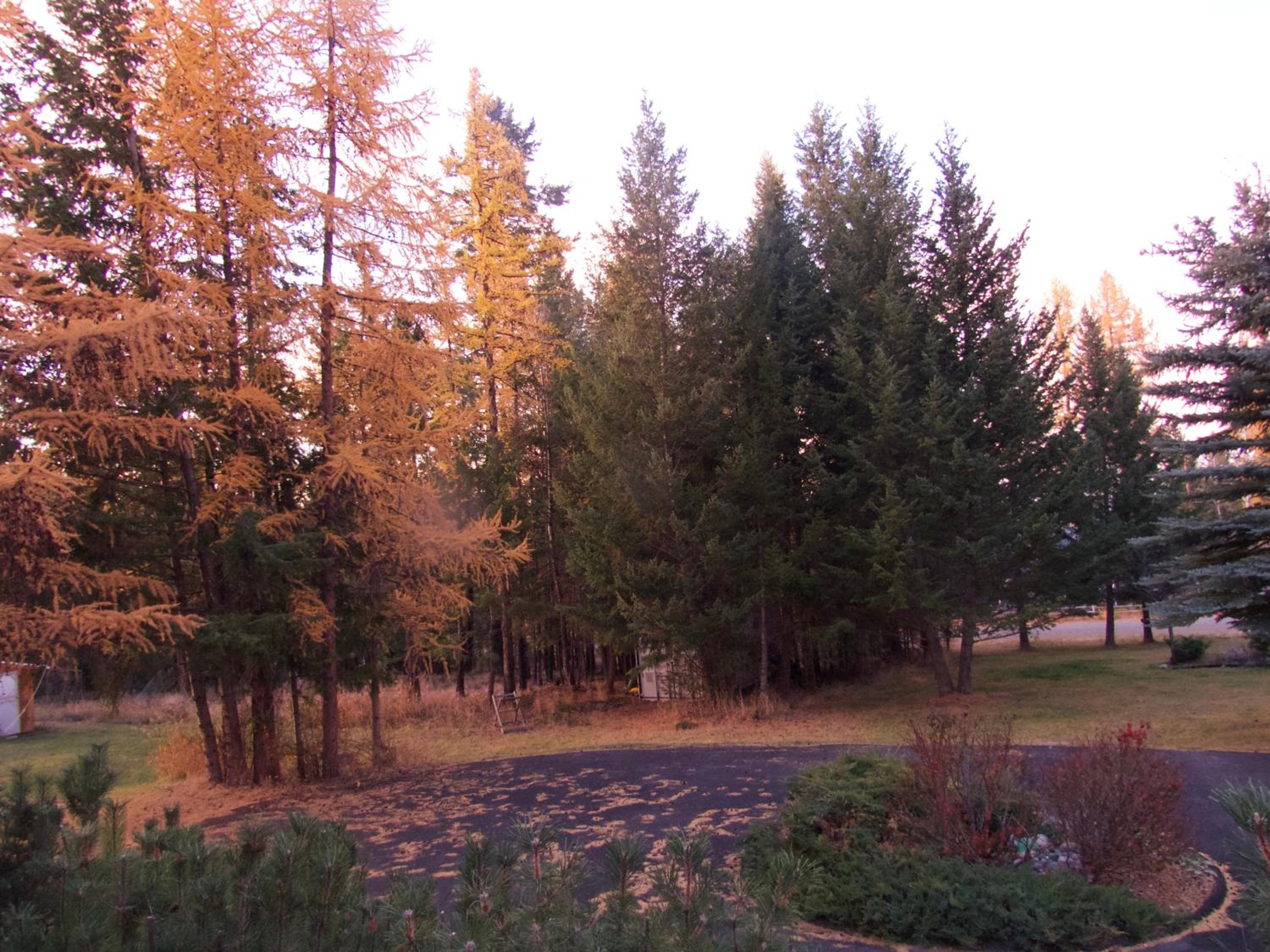 Cranbrook Vacations - End of the road B  B - Property Image 5