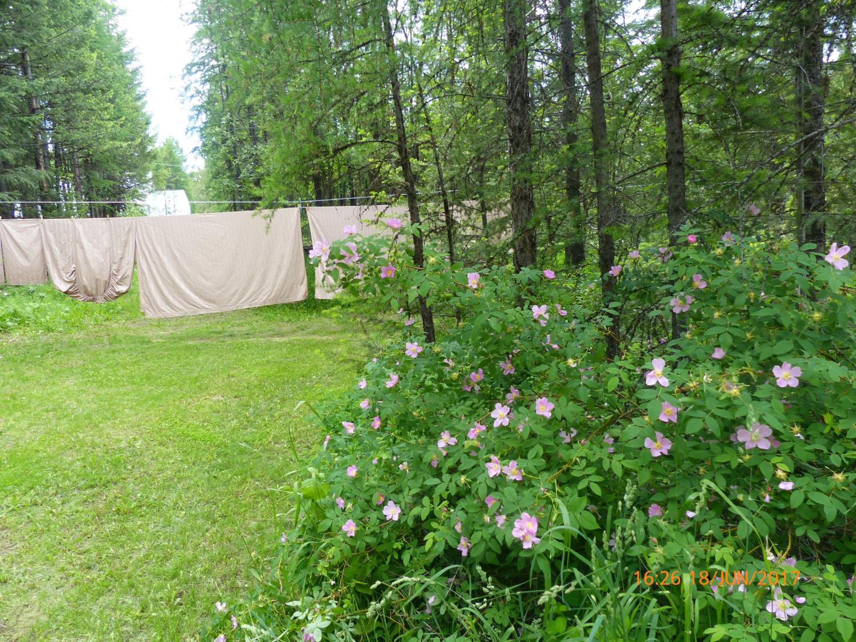 Cranbrook Vacations - End of the road B  B - Property Image 4