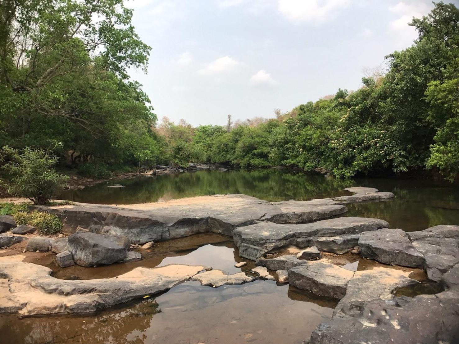 Wanathara Resort
