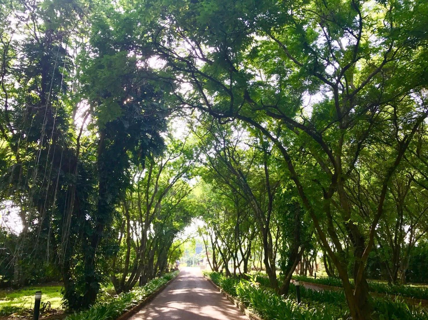 Wanathara Resort