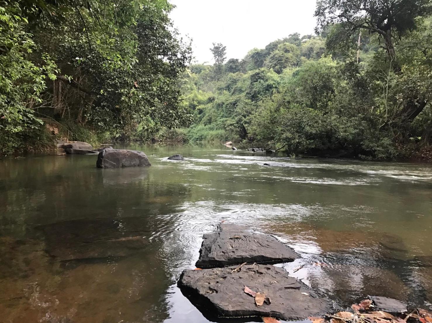 Wanathara Resort