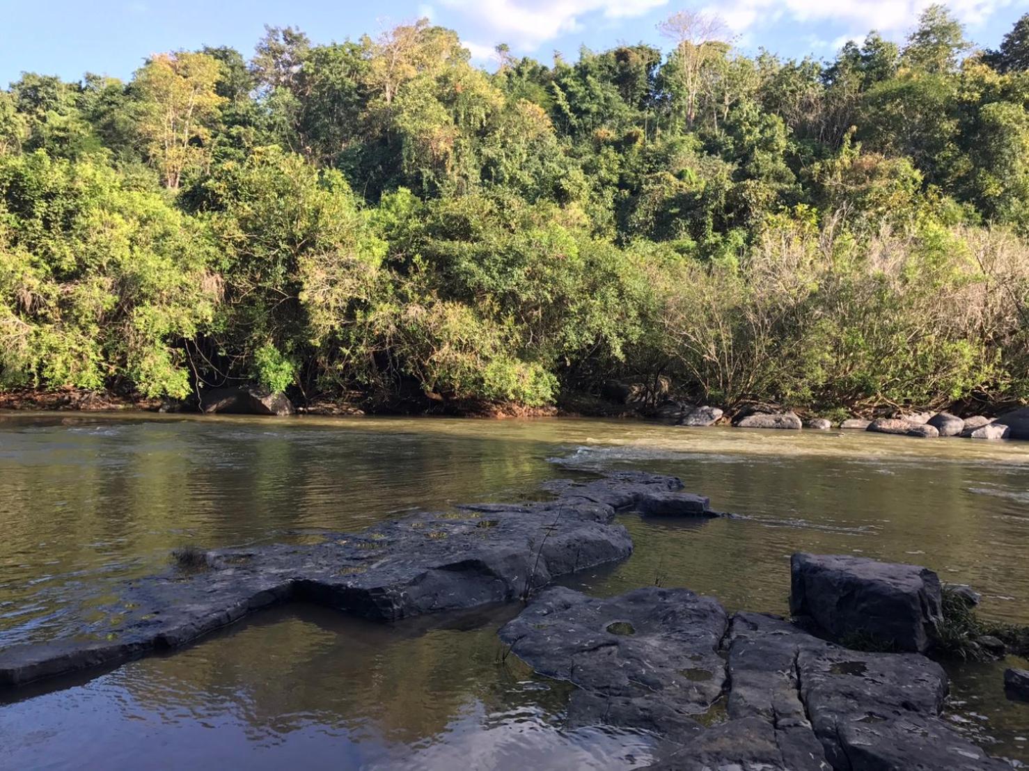 Wanathara Resort