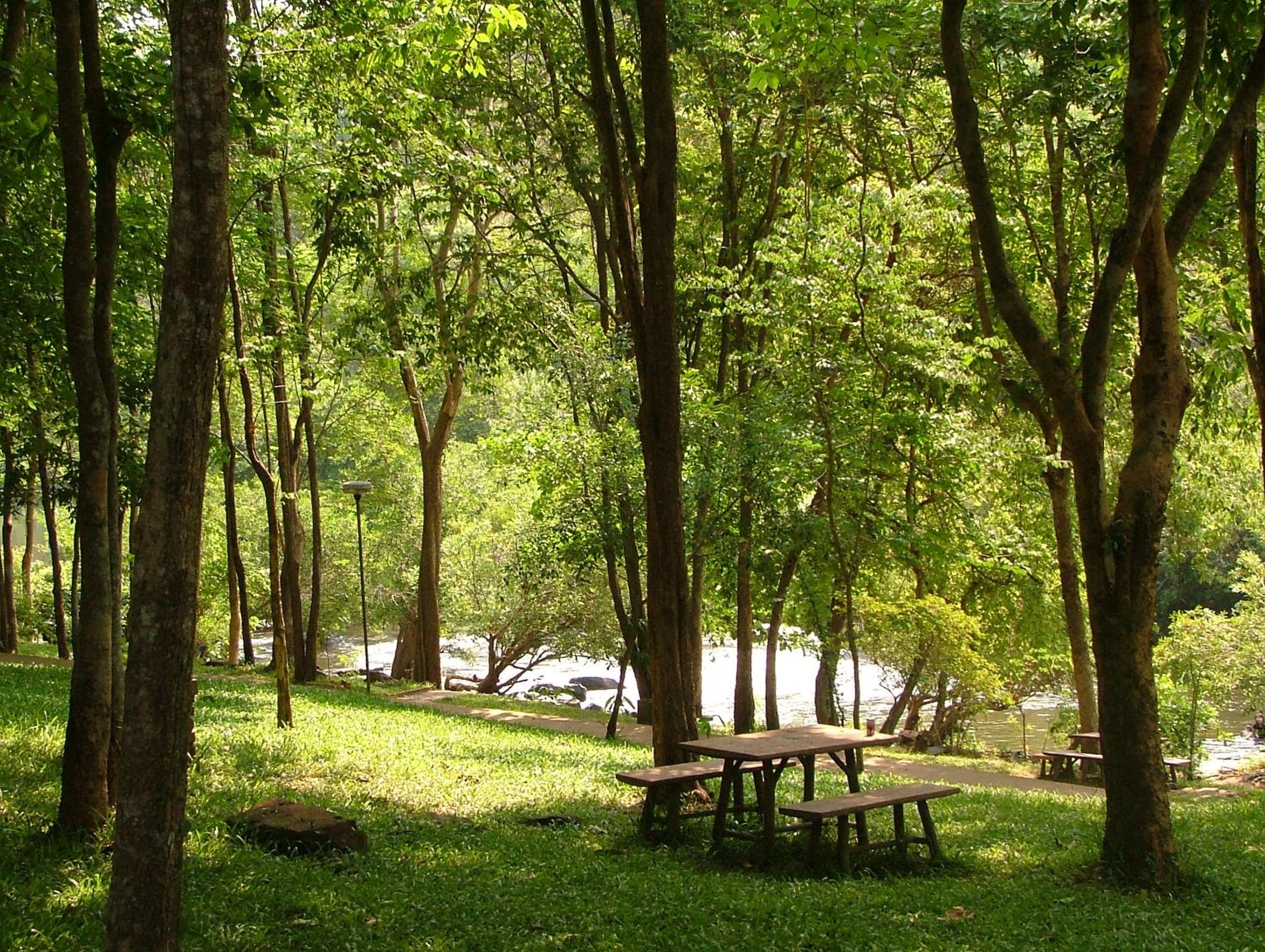 Wanathara Resort