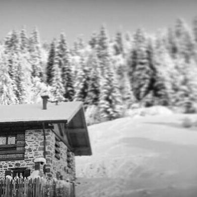 Chalet Lagorai view 5