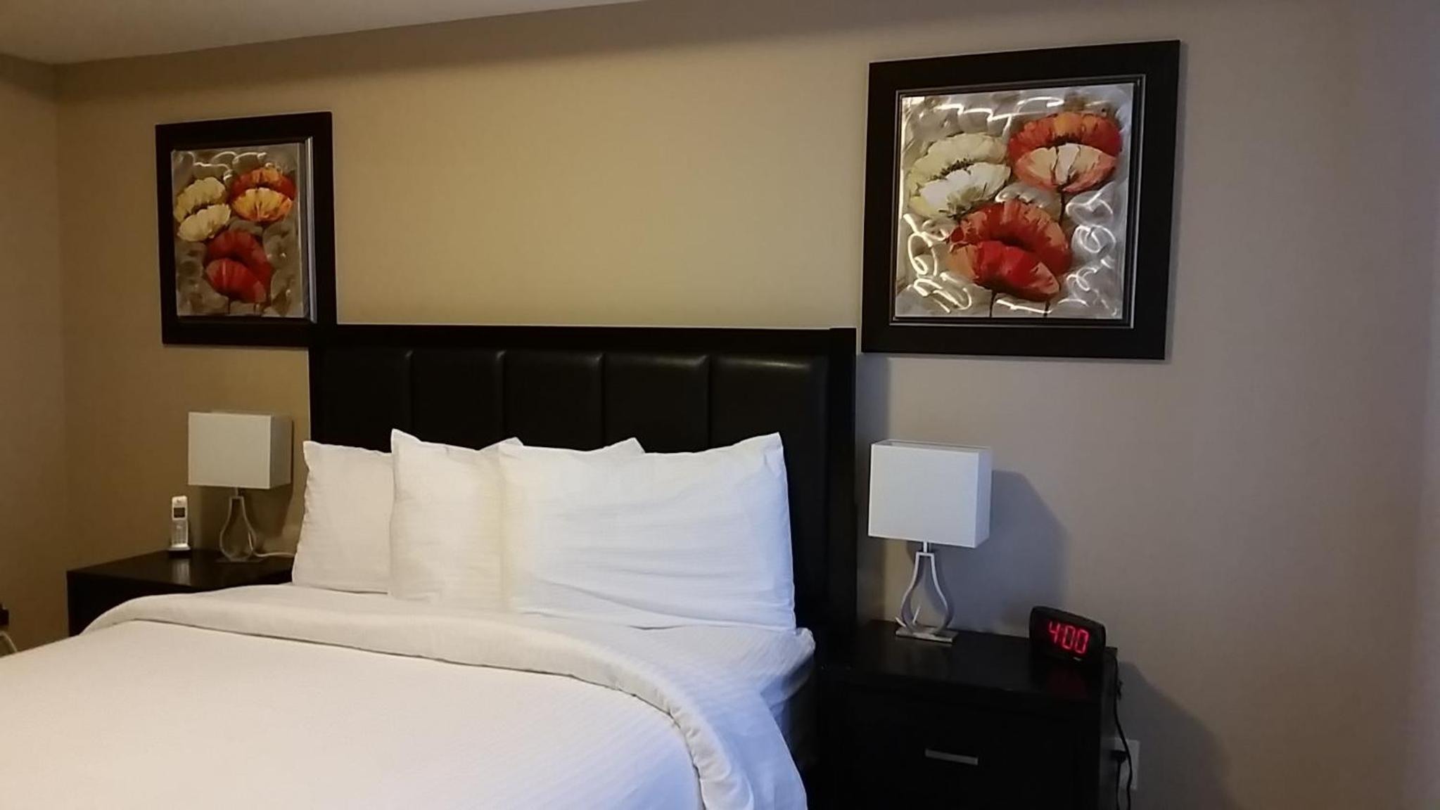 Platinum Suites Furnished Executive Suites