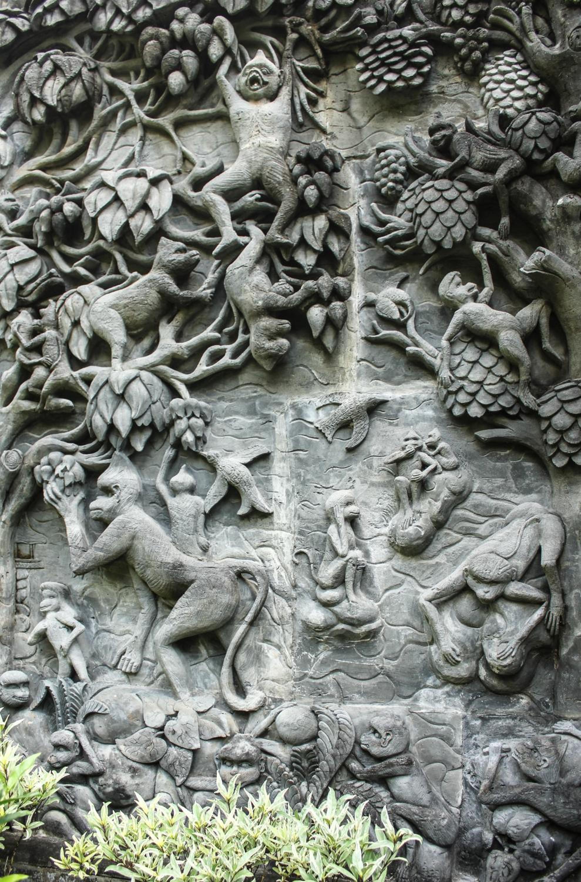 Photo 19
