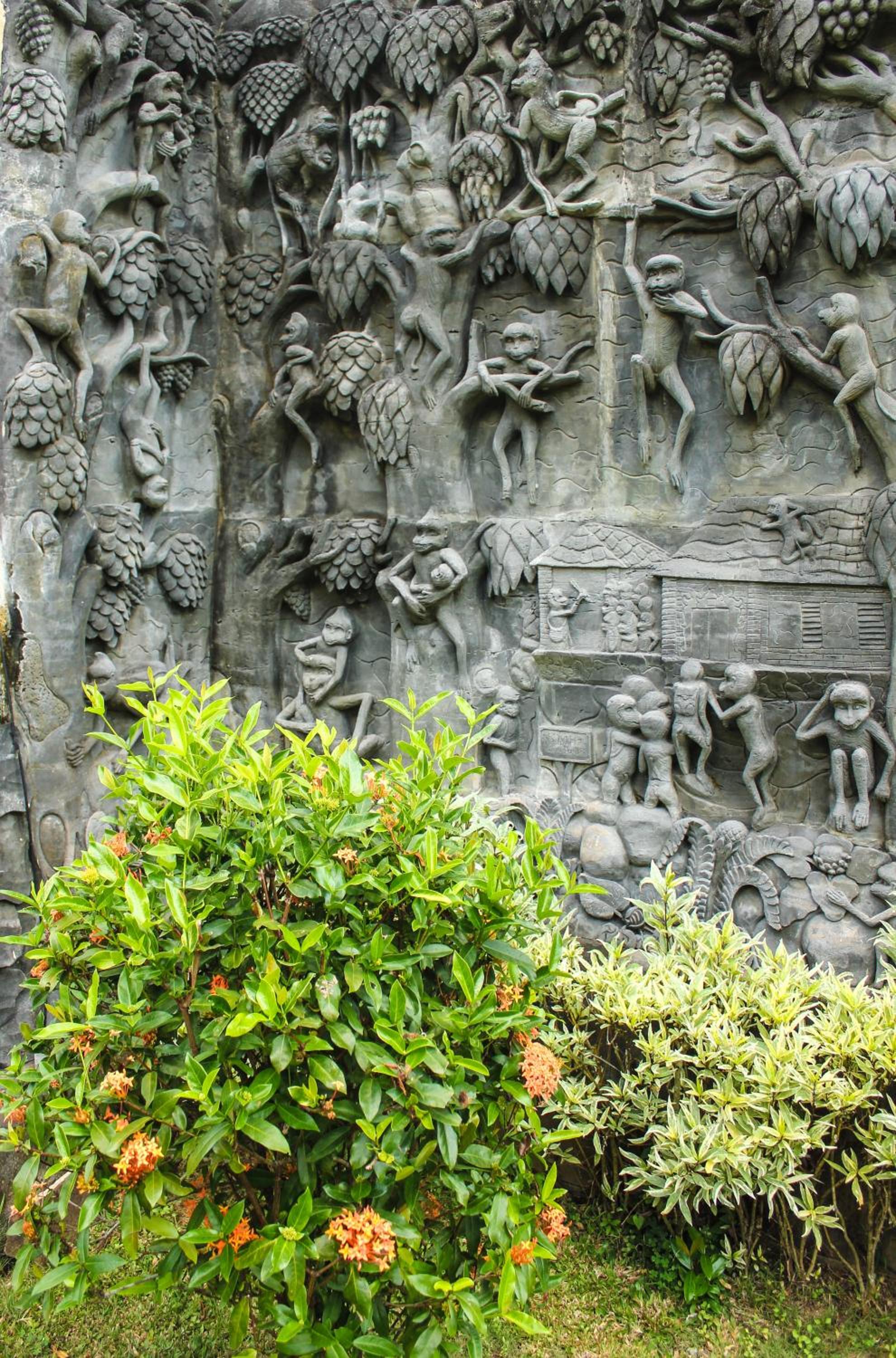 Photo 20