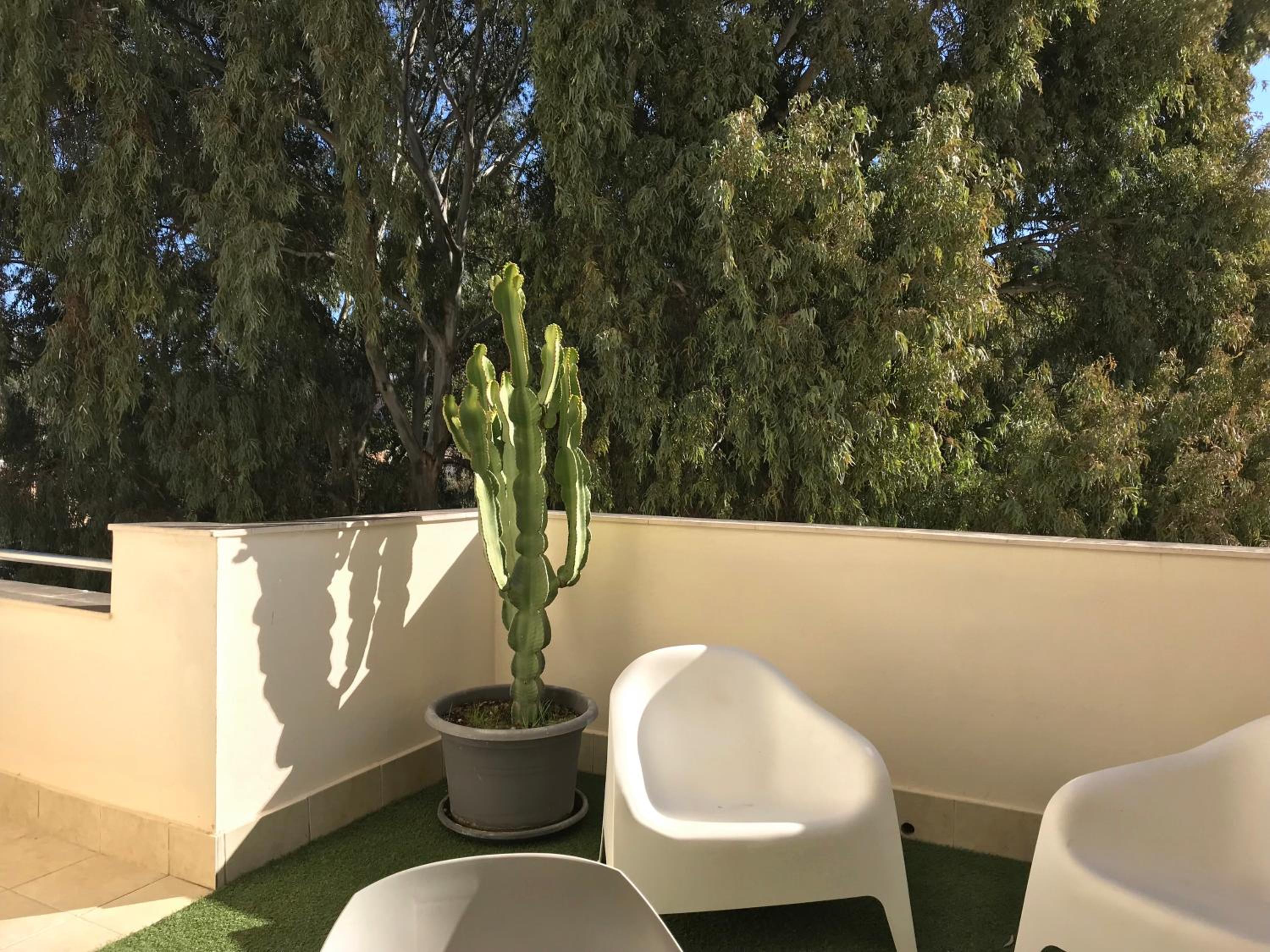 Apartamentos Doña Carmen