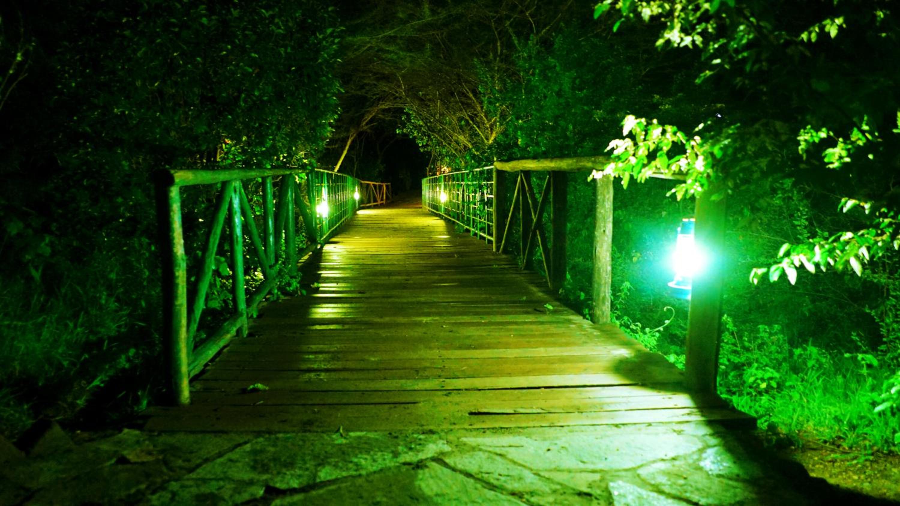 Photo 40