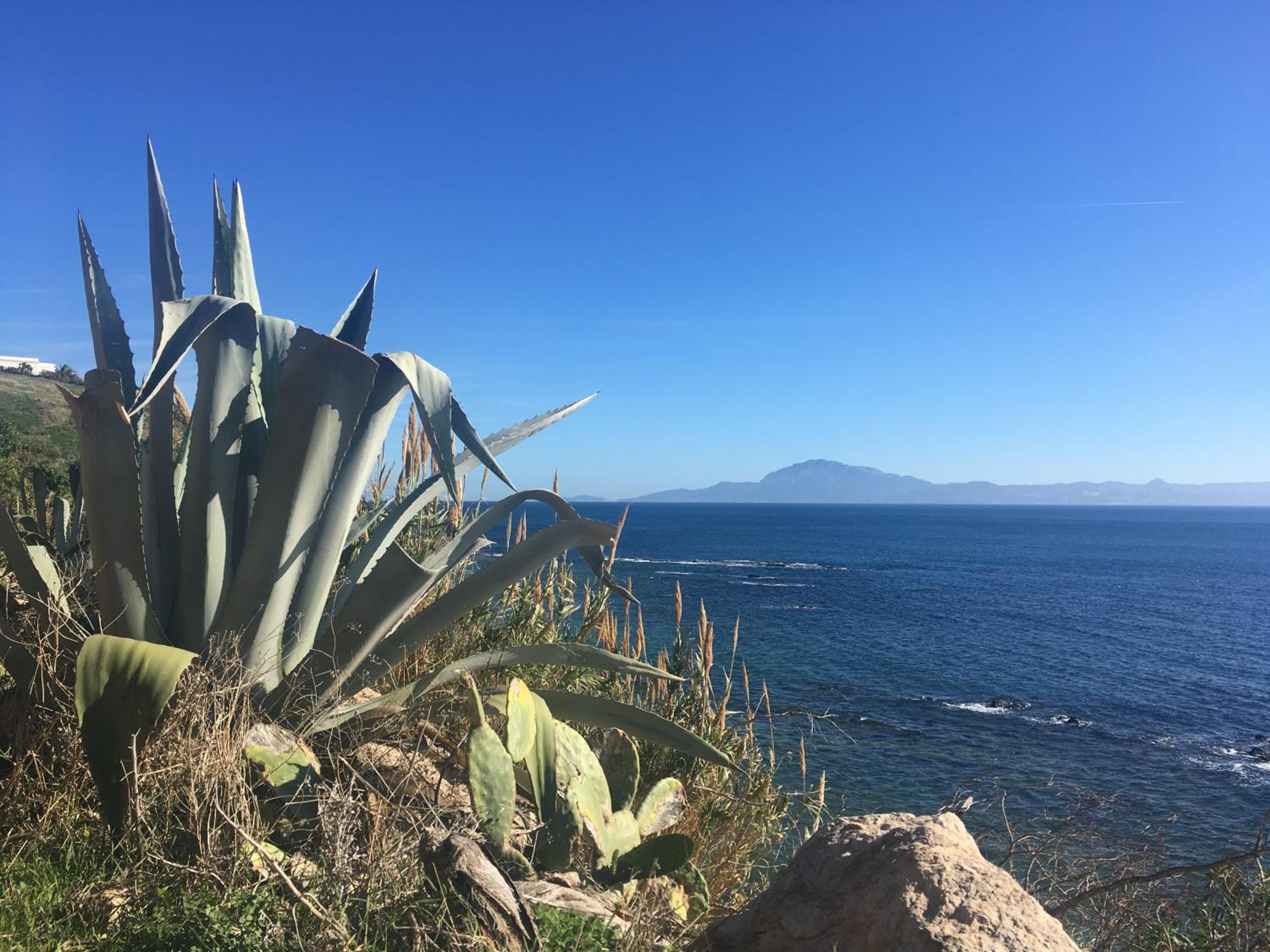 Estepona Golf - Los Pintores view 4