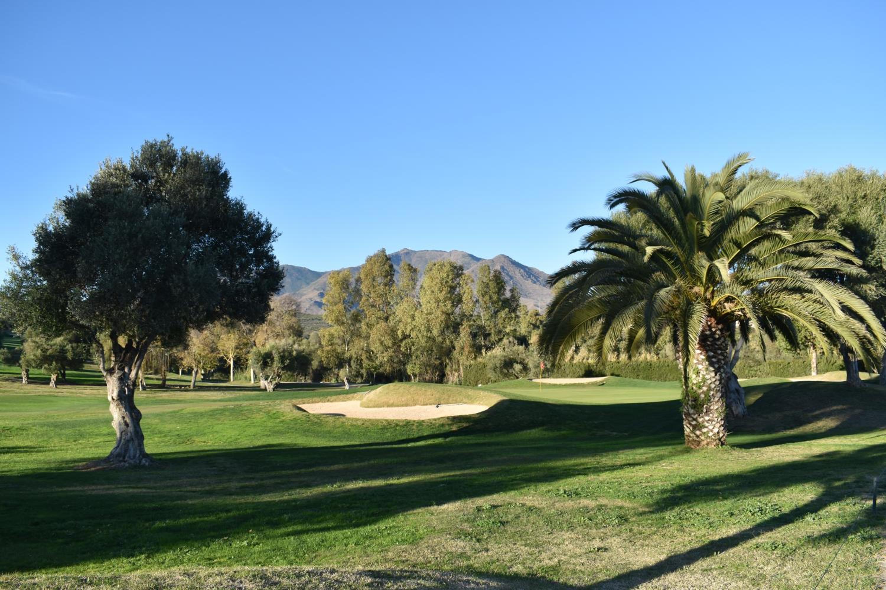 Estepona Golf - Los Pintores view 5