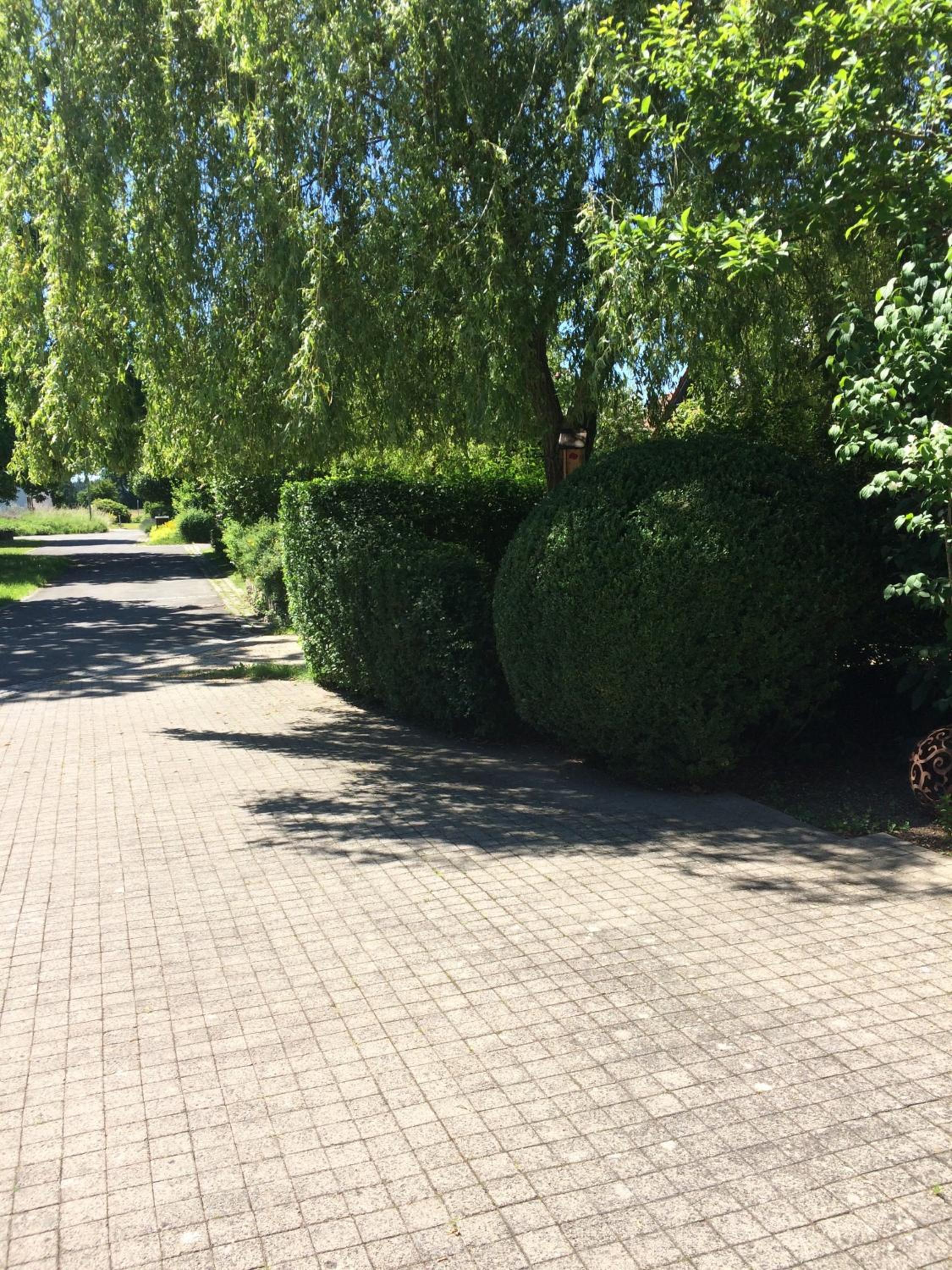 Ferienwohnung Thiergarten - Property Image 3