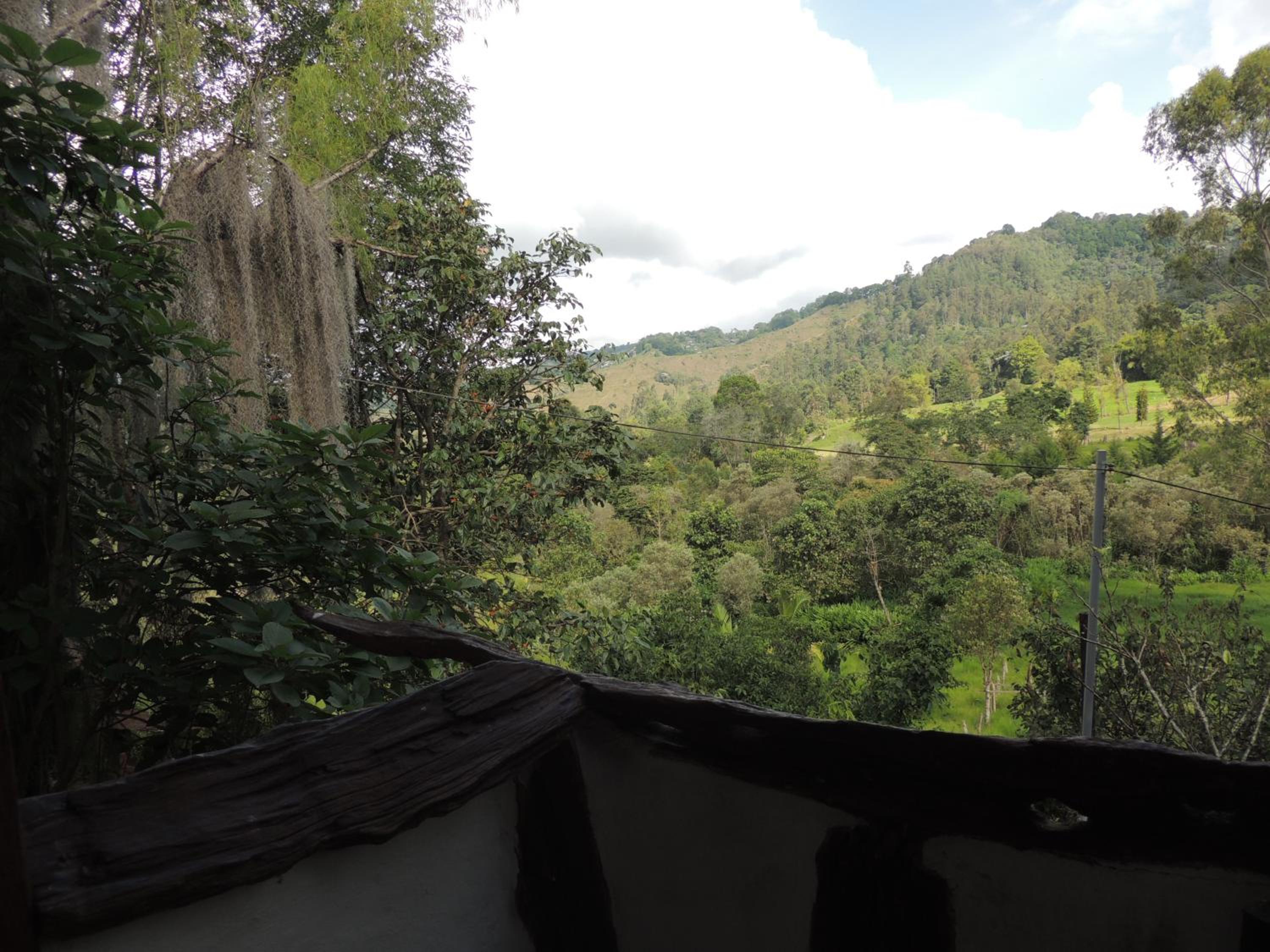 Ecorefugio Las Mirlas view 4