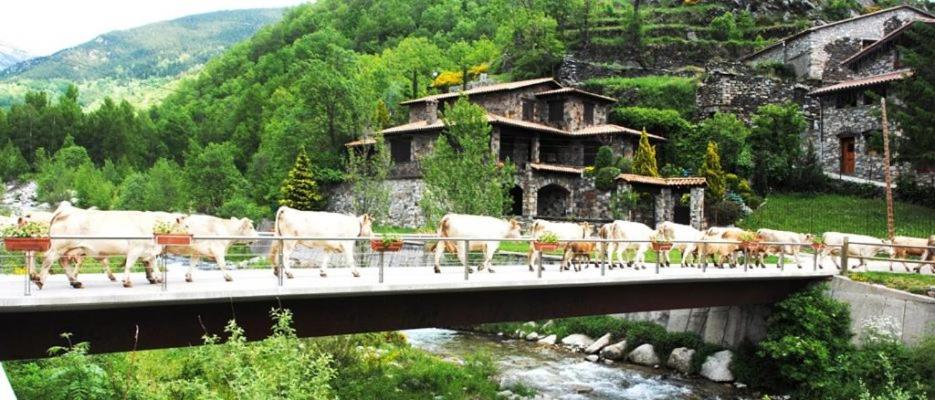 Apartaments Can Bundanci