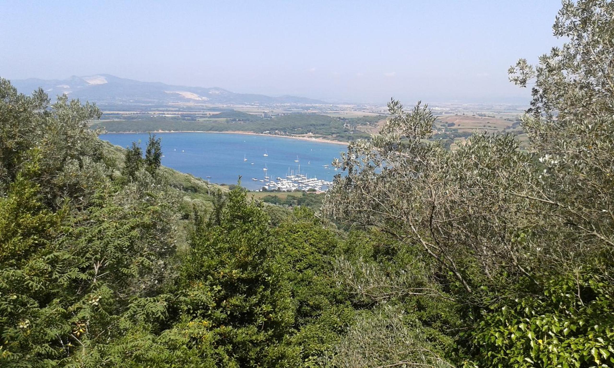 Agriturismo Baratti