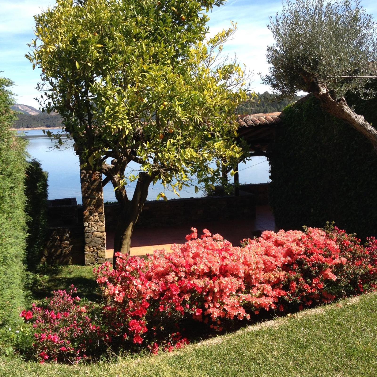 Photo 26