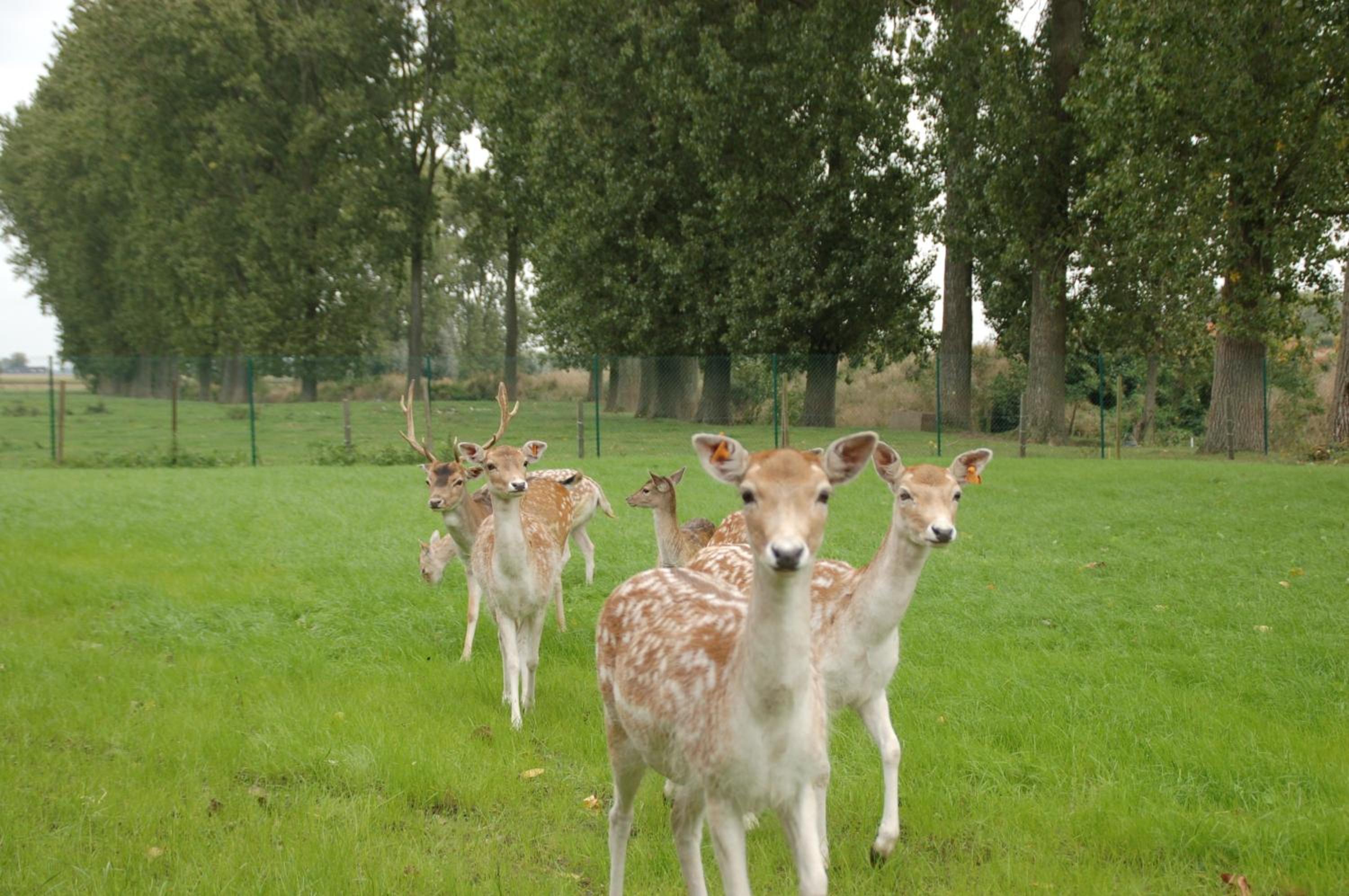 B&B De Rentmeesterhoeve