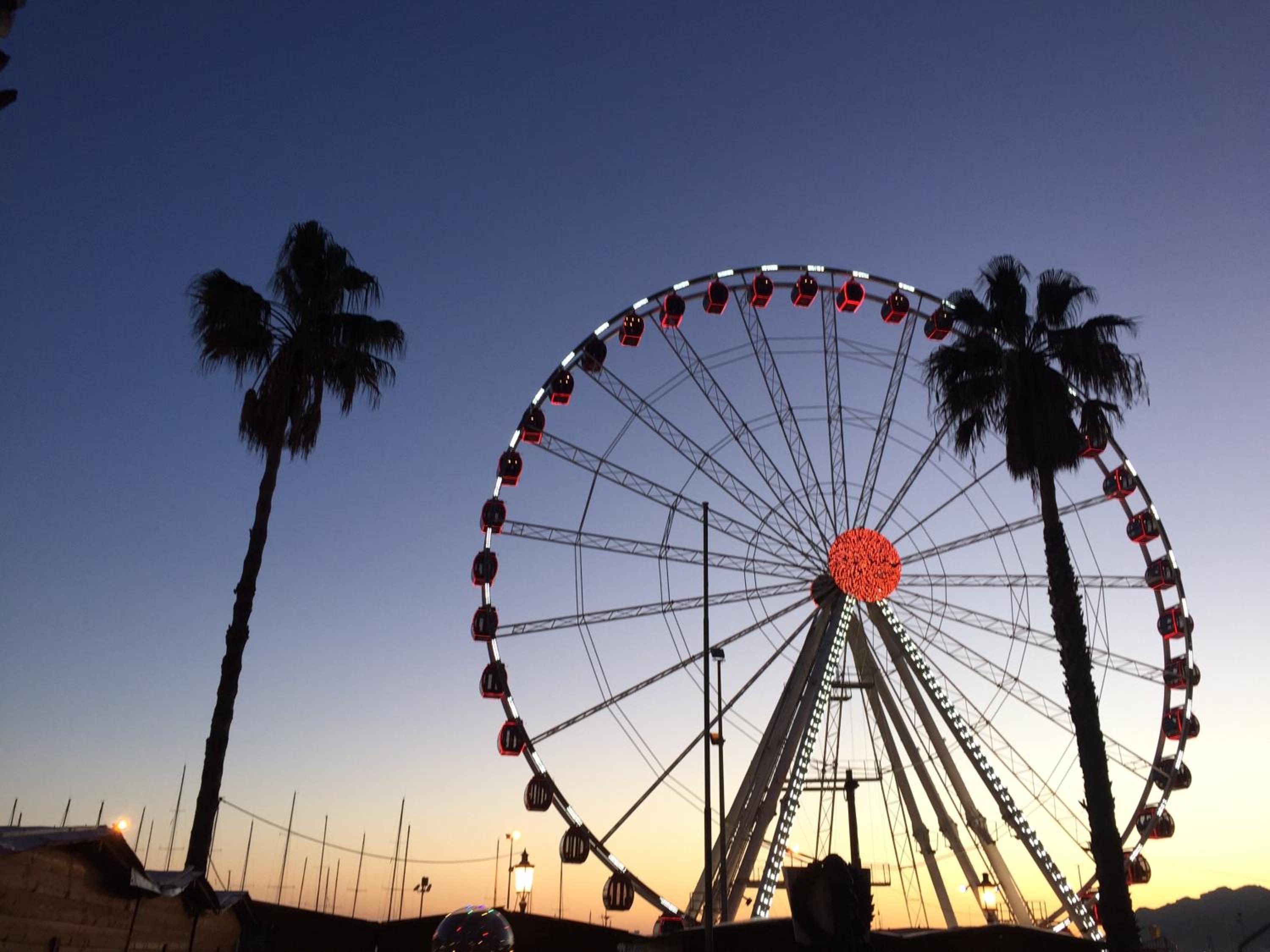 Photo 42