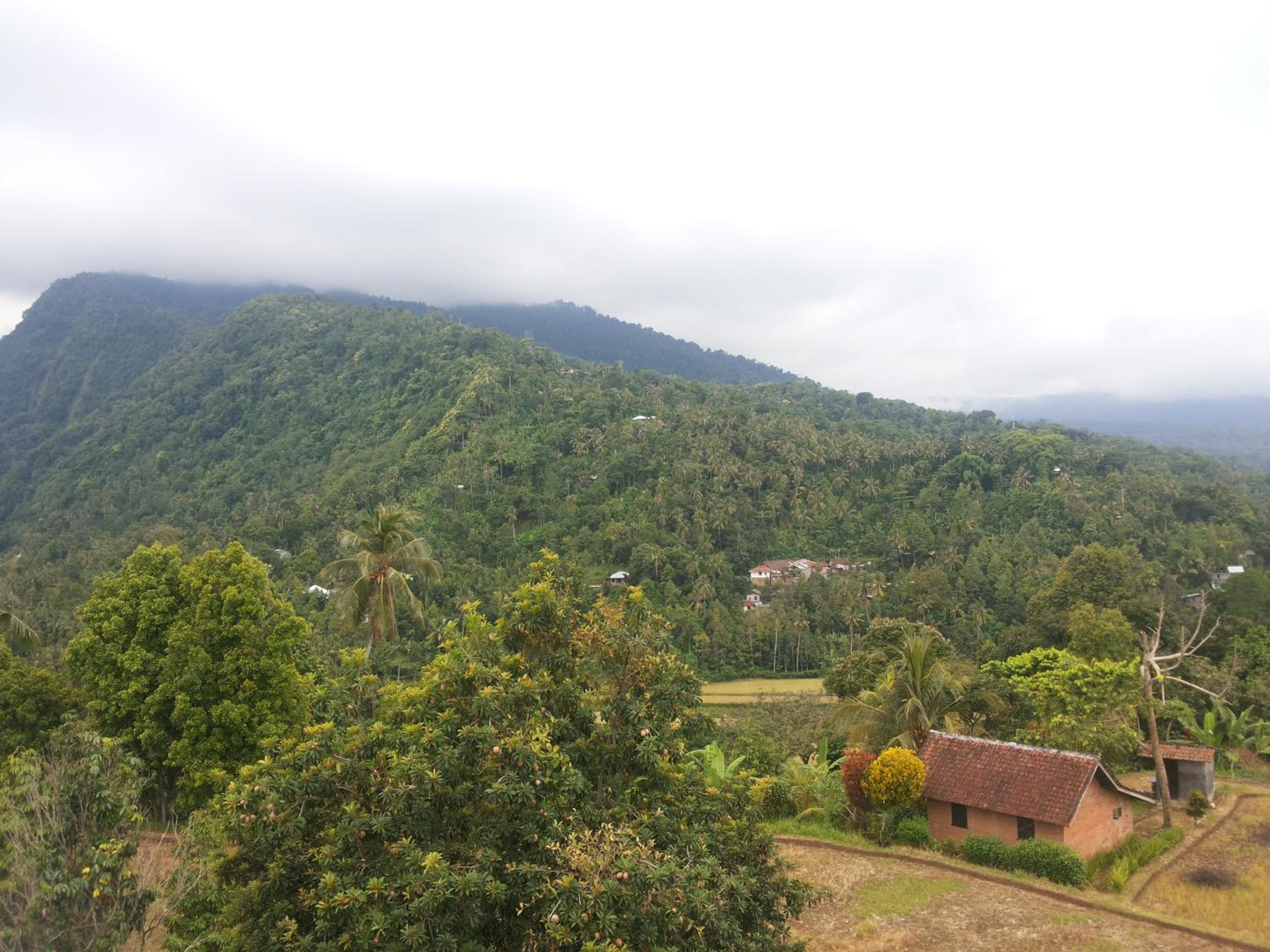 DWM ESA di Kubu Homestay By Reccoma