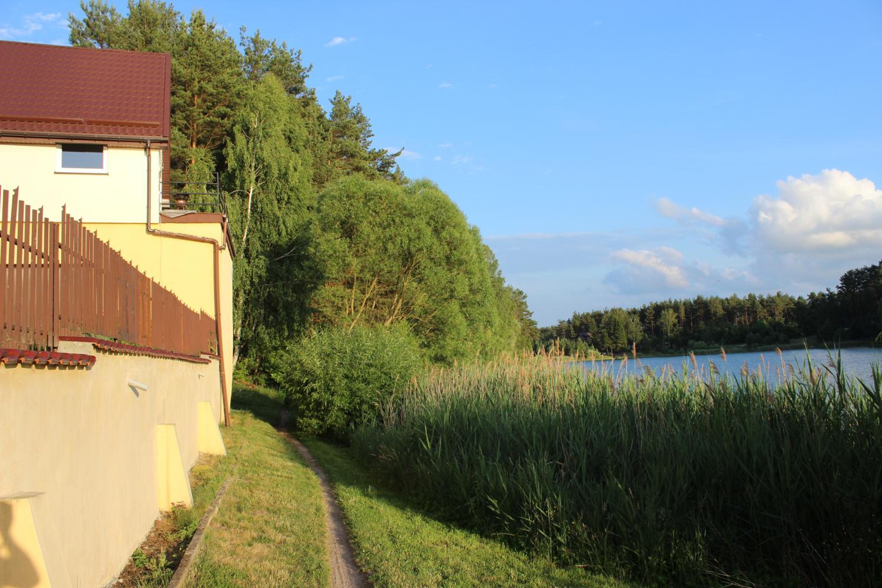 Photo 8