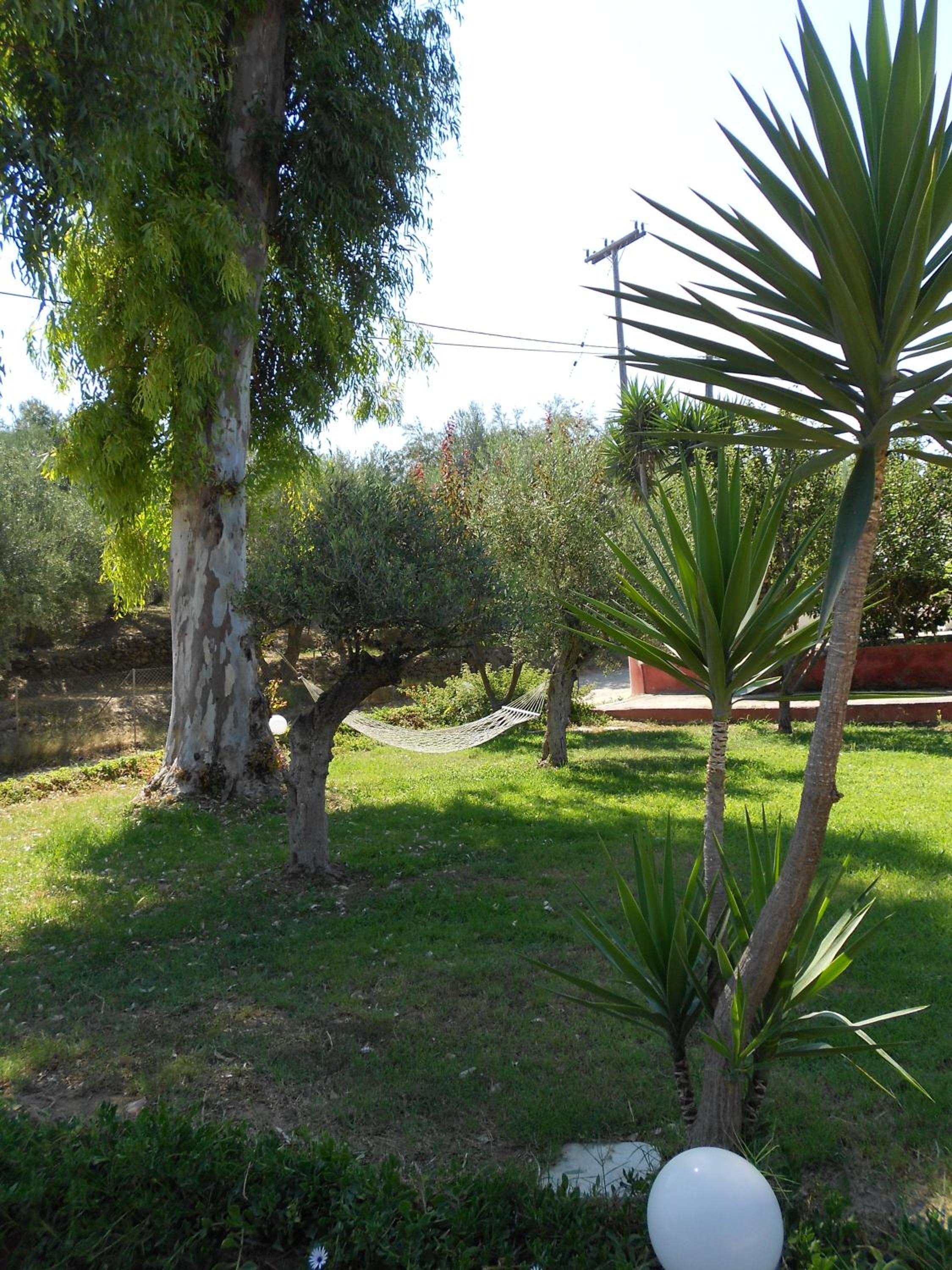Photo 52