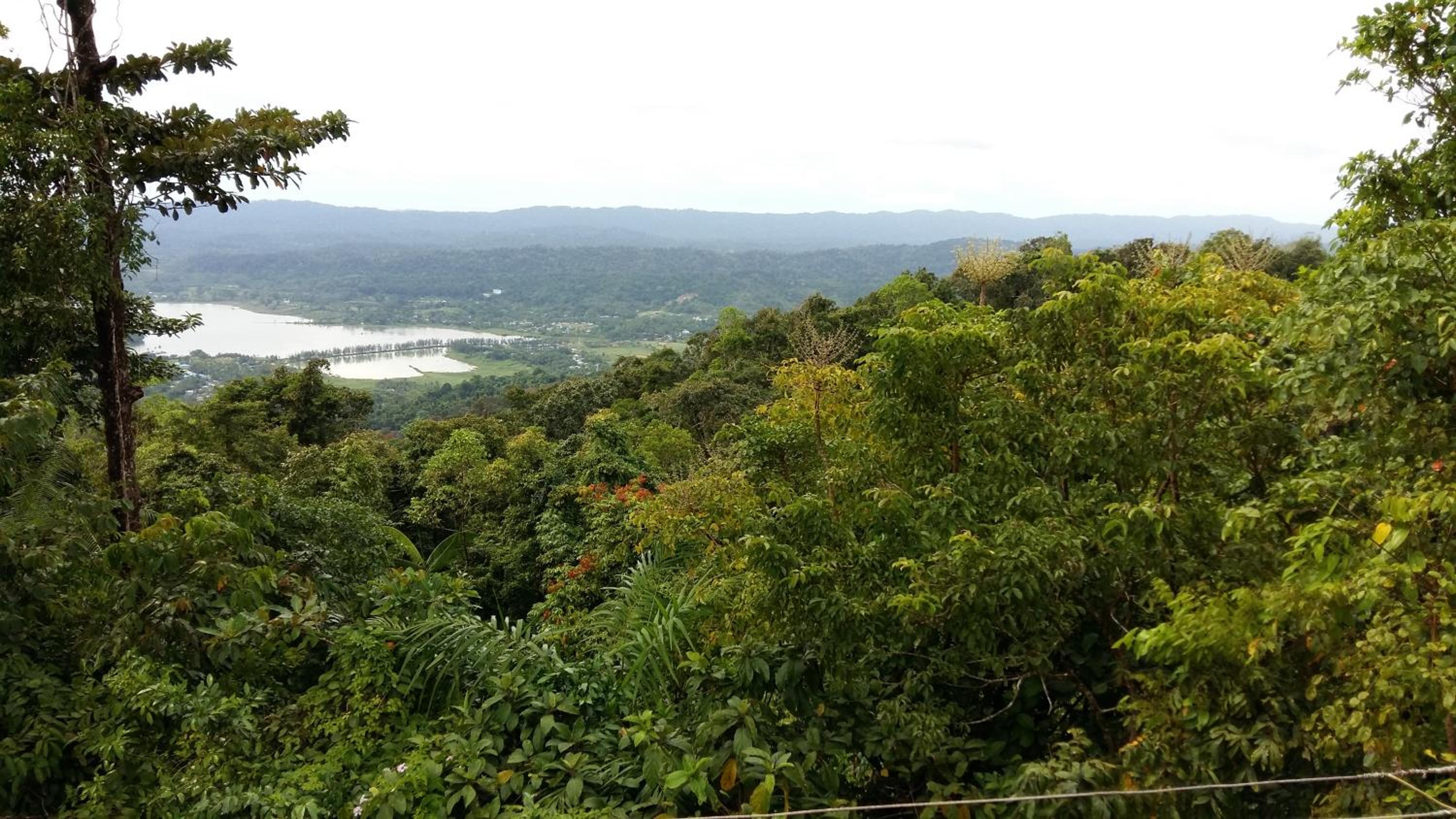 Dutta's Residency view 3
