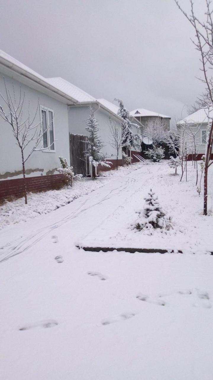 Gabala Homes Musa