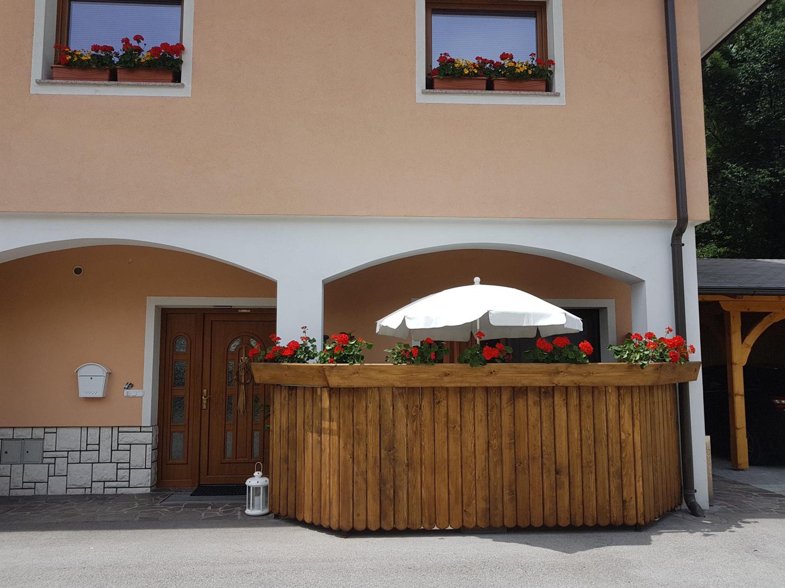 Apartmaji Mežan — photo 147