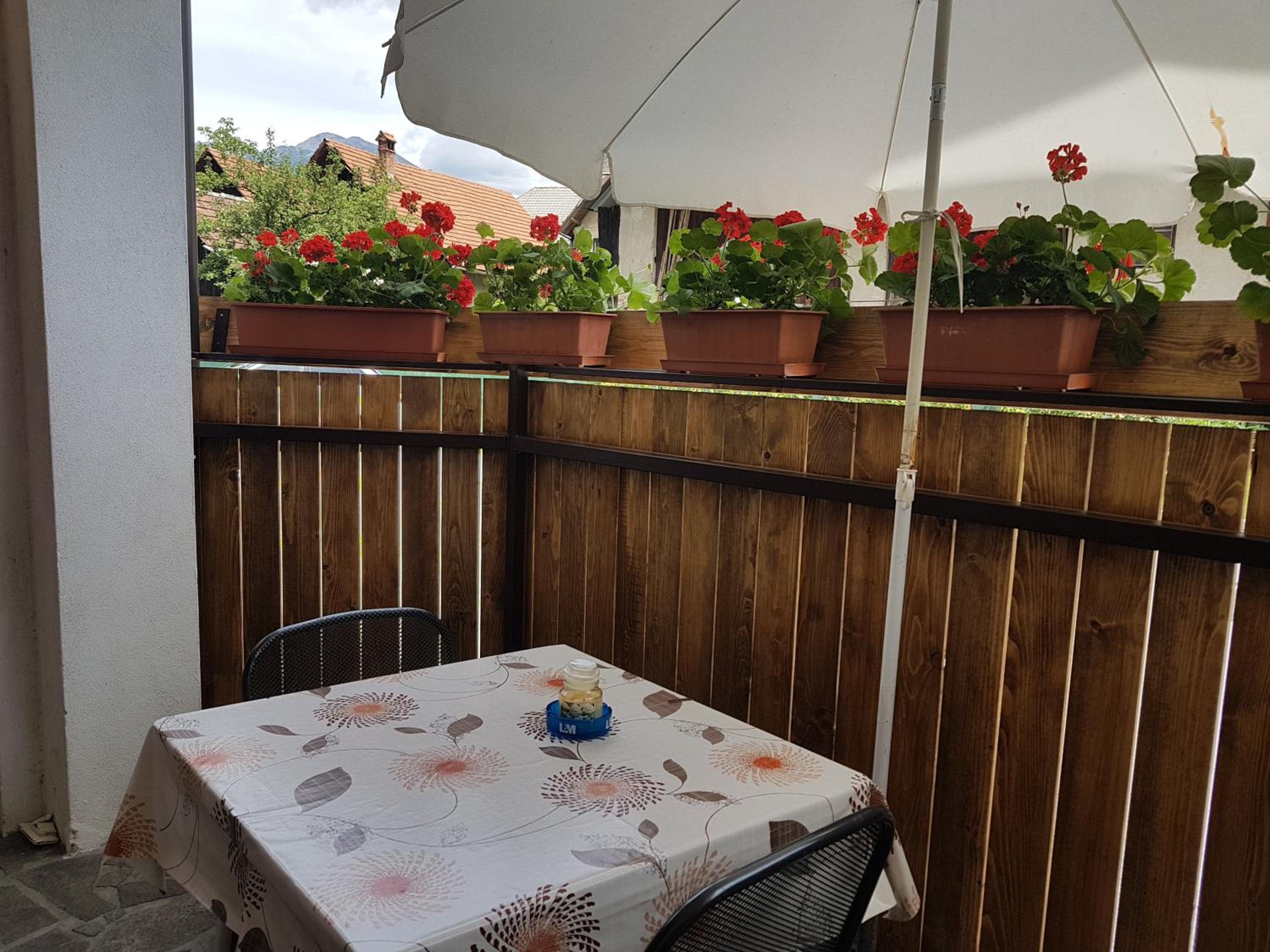 Apartmaji Mežan — photo 111