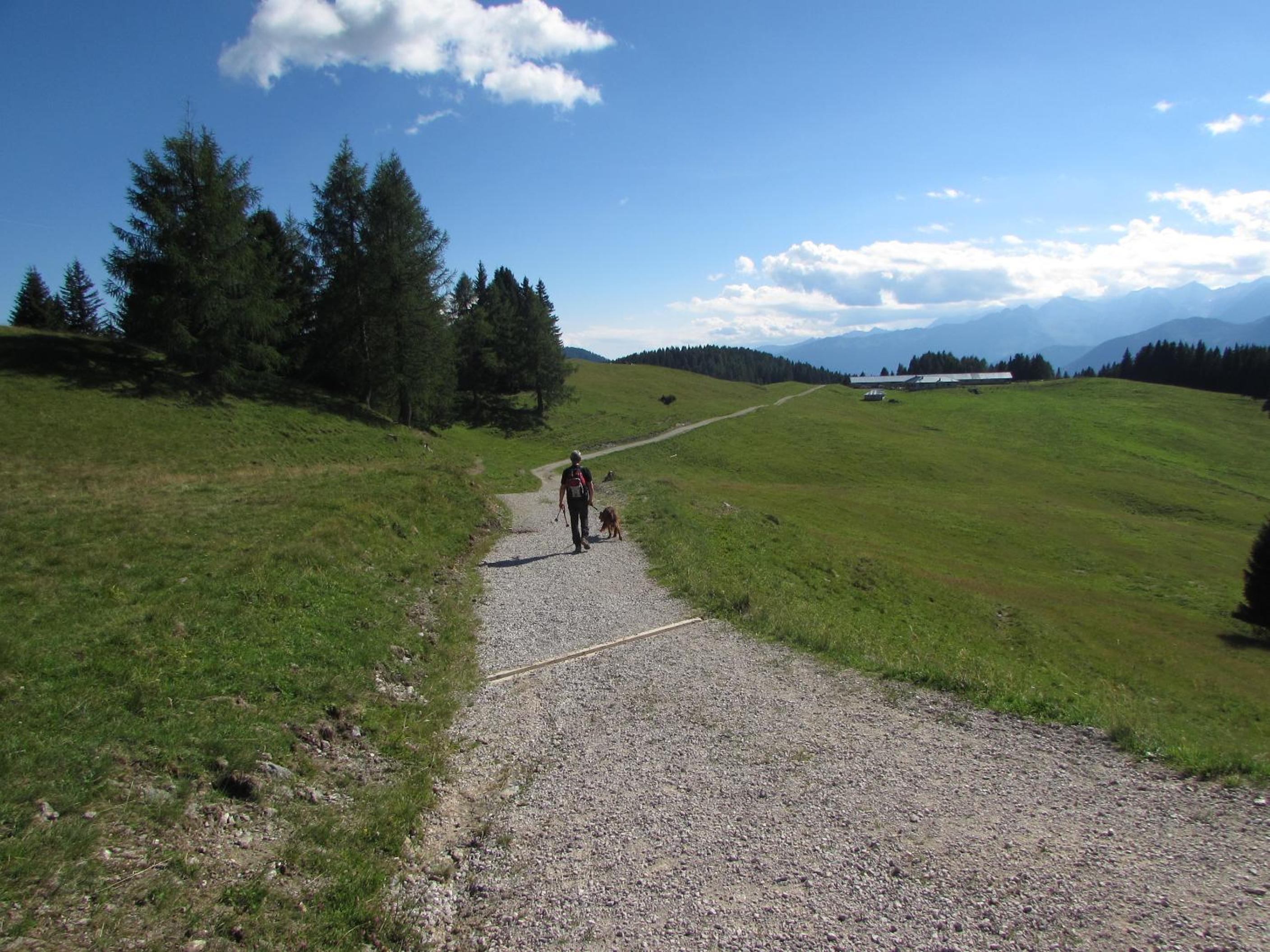 Photo 52