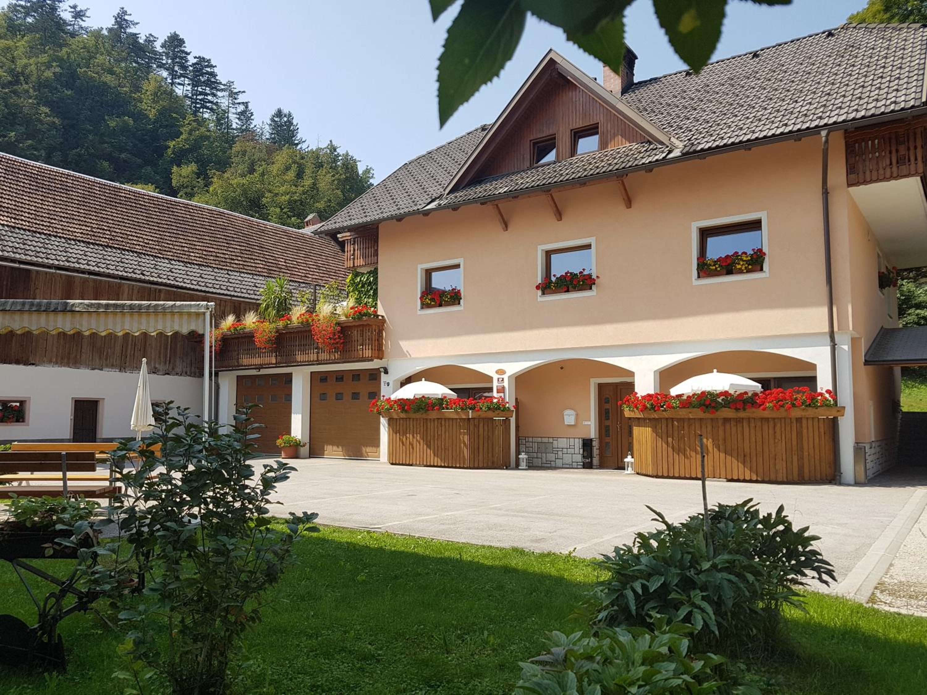 Apartmaji Mežan — photo 23